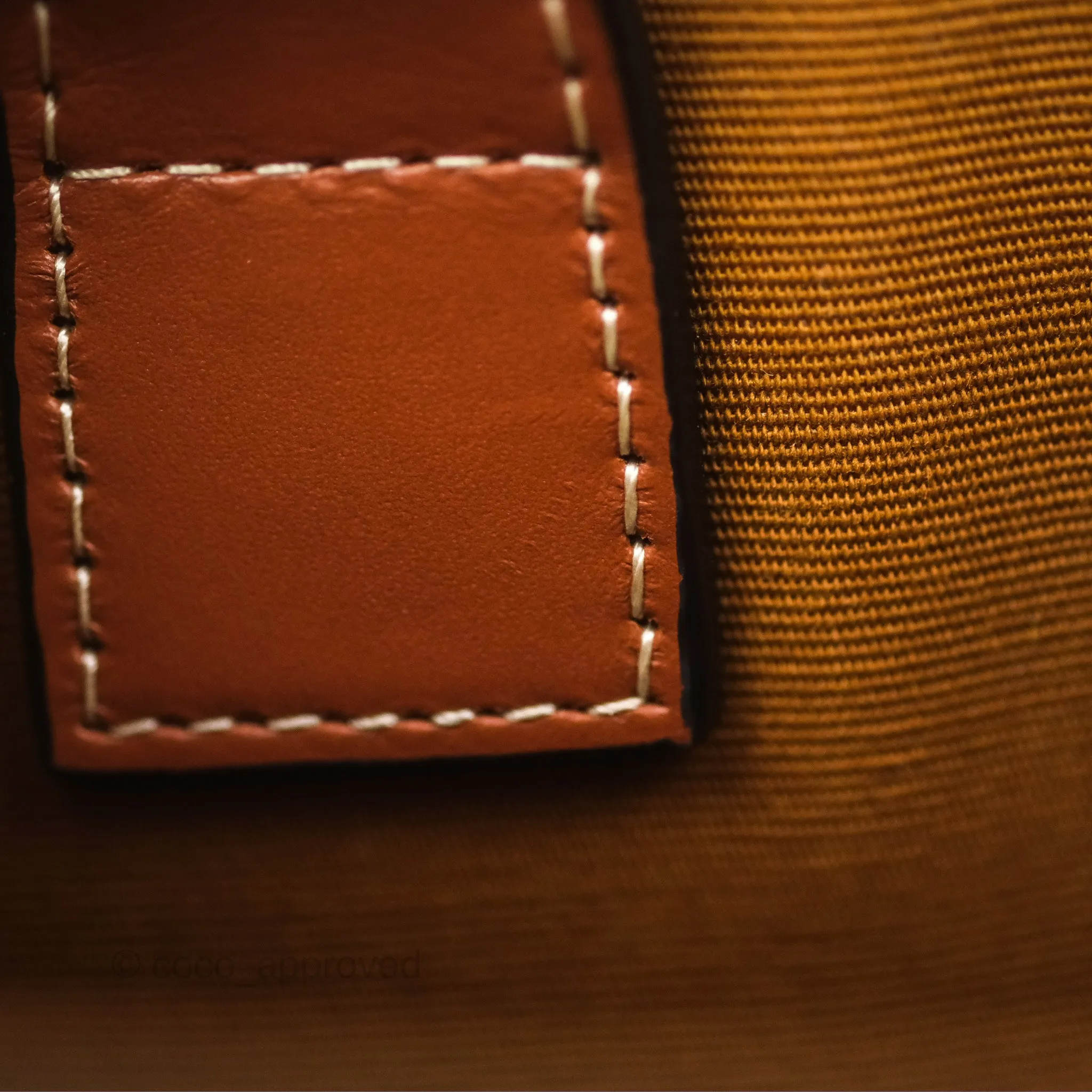 Celine Mini Vertical Cabas Bag Triomphe Canvas Tan