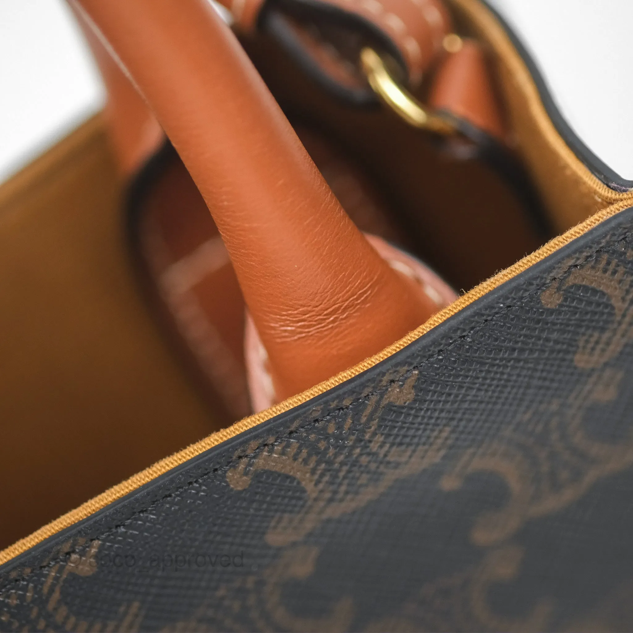 Celine Mini Vertical Cabas Bag Triomphe Canvas Tan