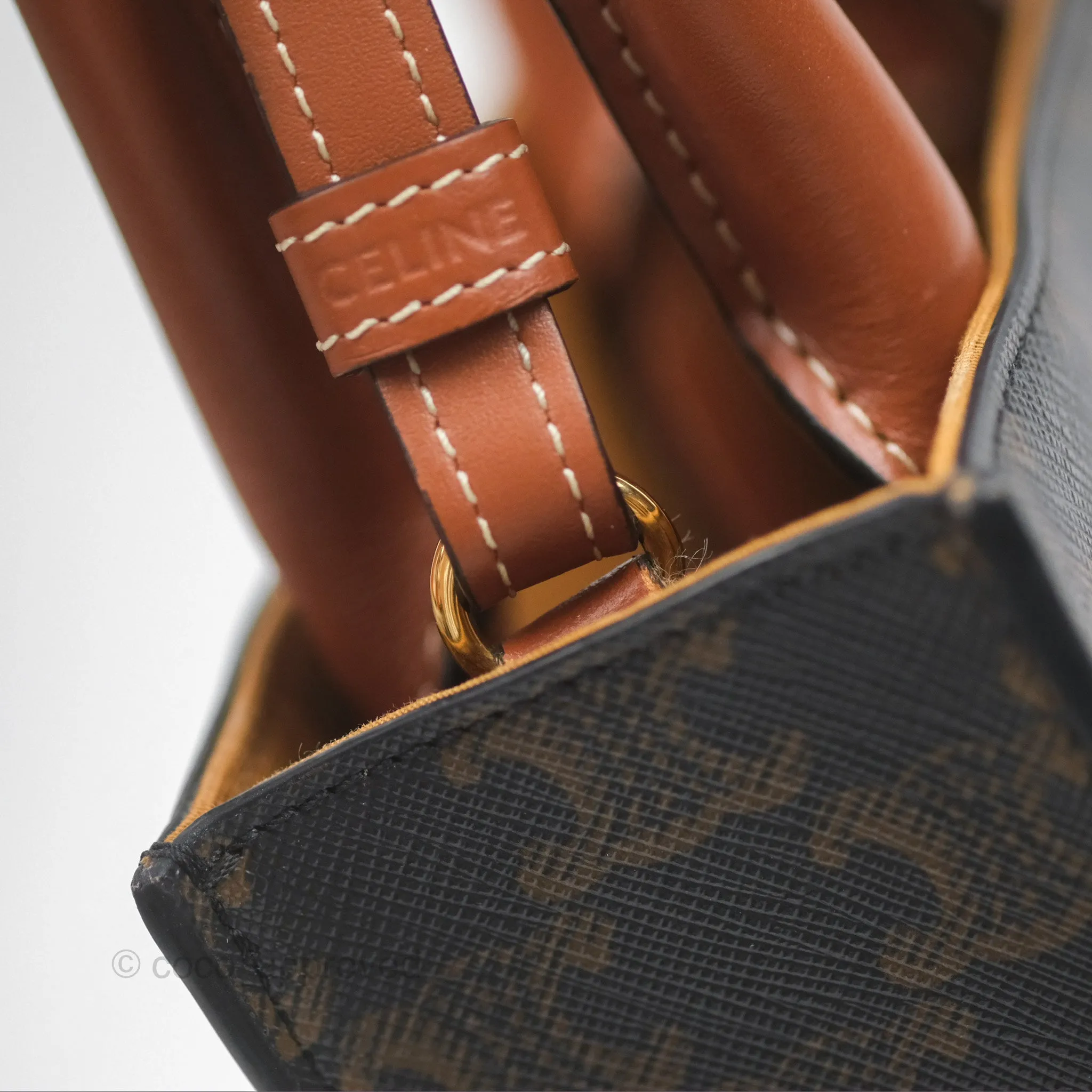 Celine Mini Vertical Cabas Bag Triomphe Canvas Tan