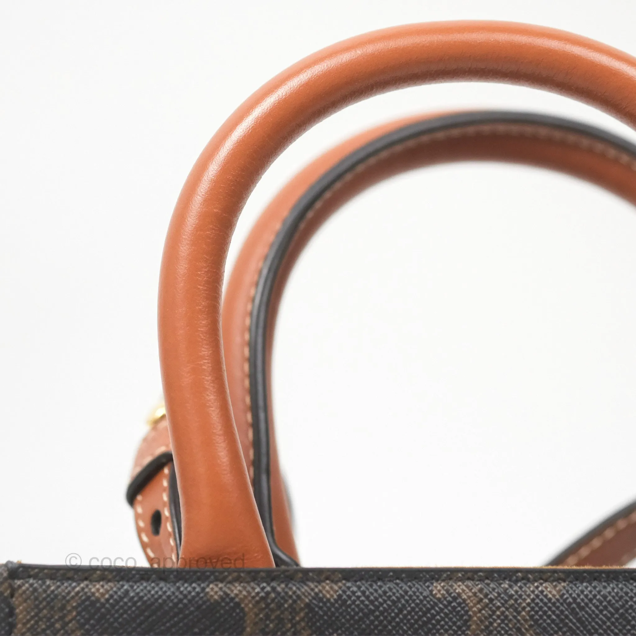 Celine Mini Vertical Cabas Bag Triomphe Canvas Tan