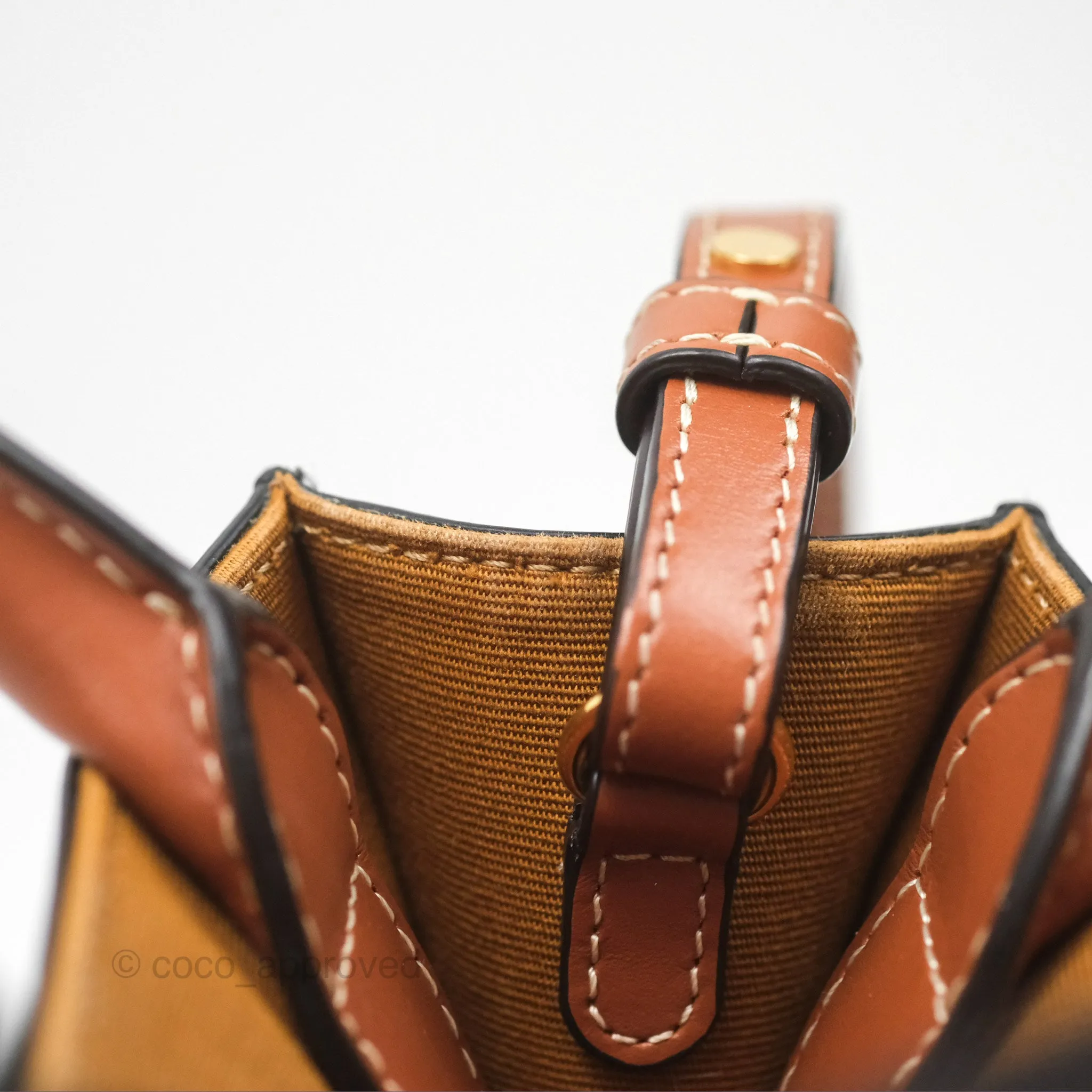Celine Mini Vertical Cabas Bag Triomphe Canvas Tan