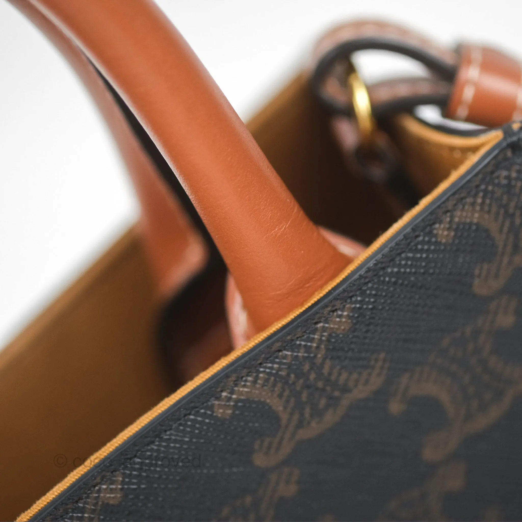 Celine Mini Vertical Cabas Bag Triomphe Canvas Tan