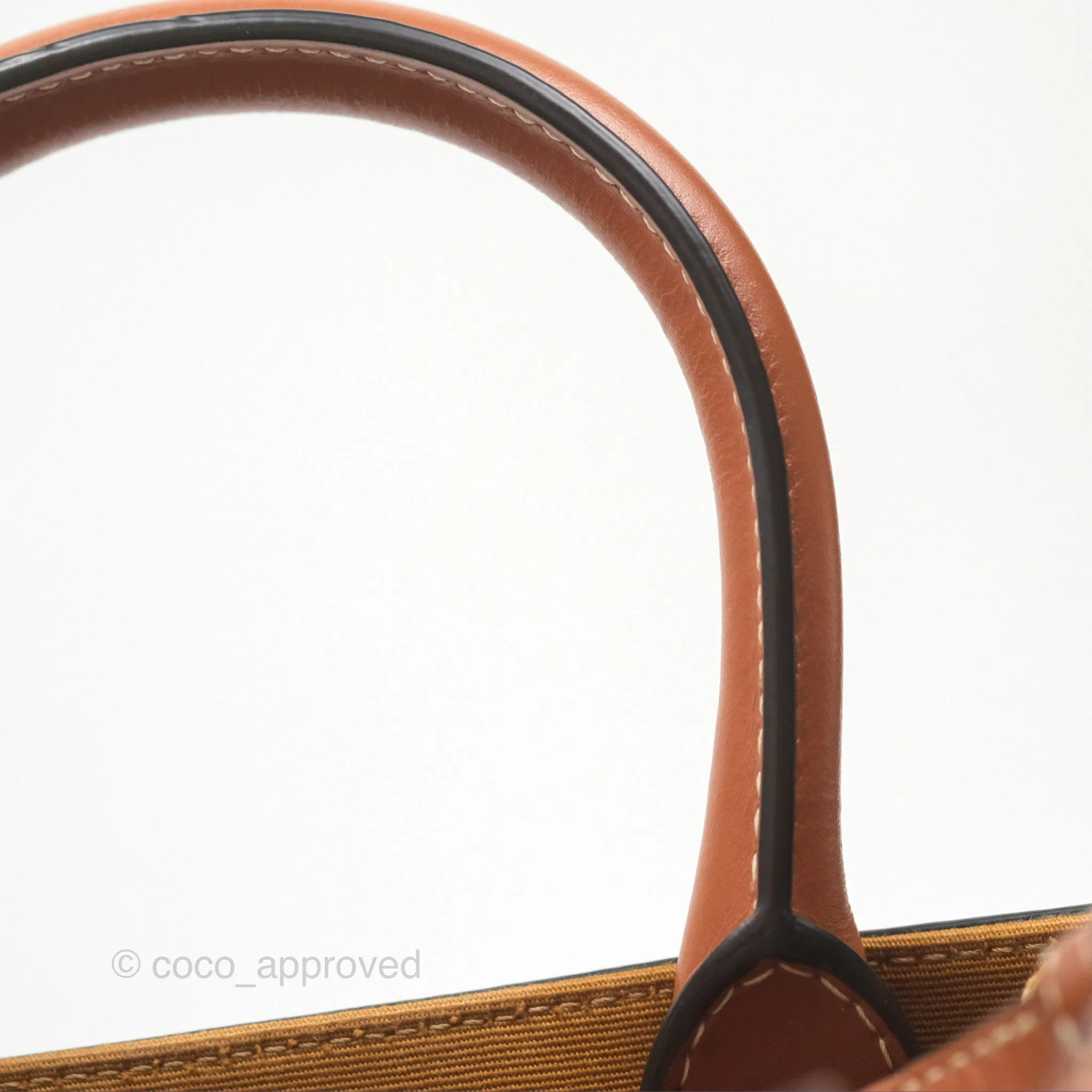 Celine Mini Vertical Cabas Bag Triomphe Canvas Tan