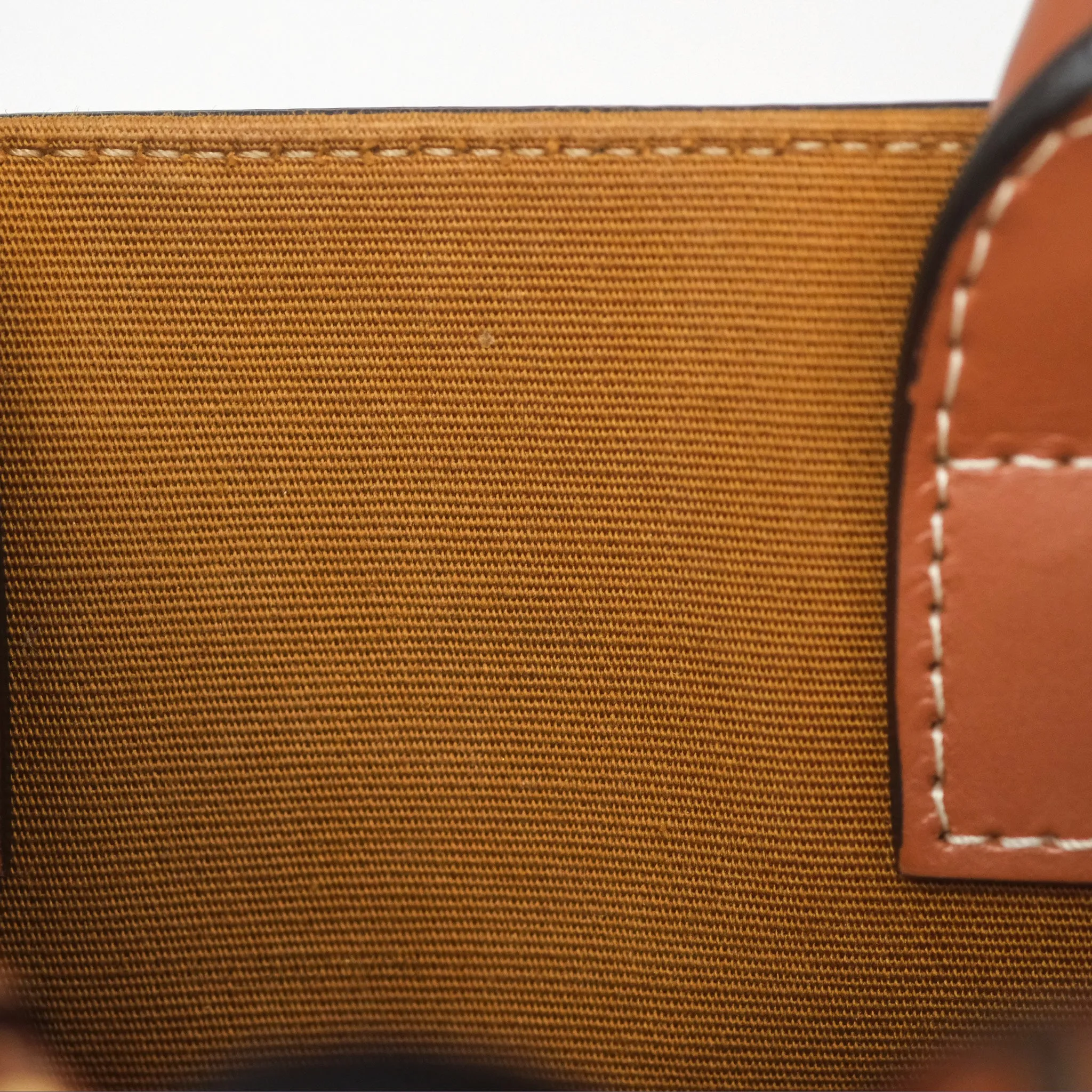Celine Mini Vertical Cabas Bag Triomphe Canvas Tan