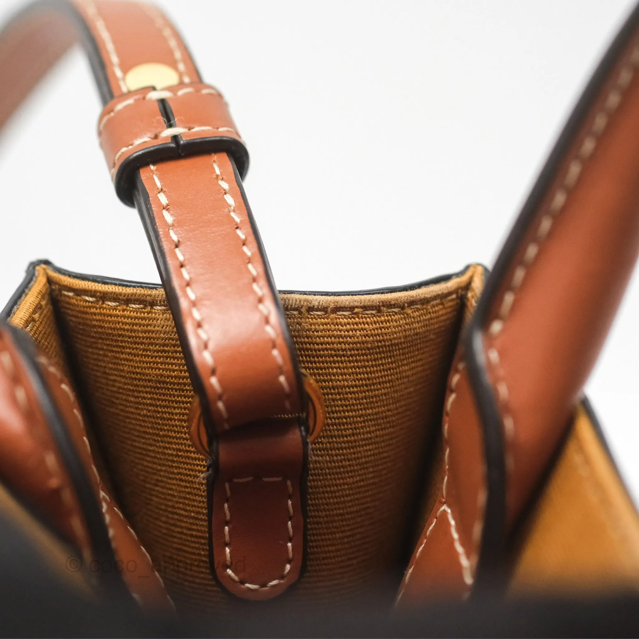 Celine Mini Vertical Cabas Bag Triomphe Canvas Tan