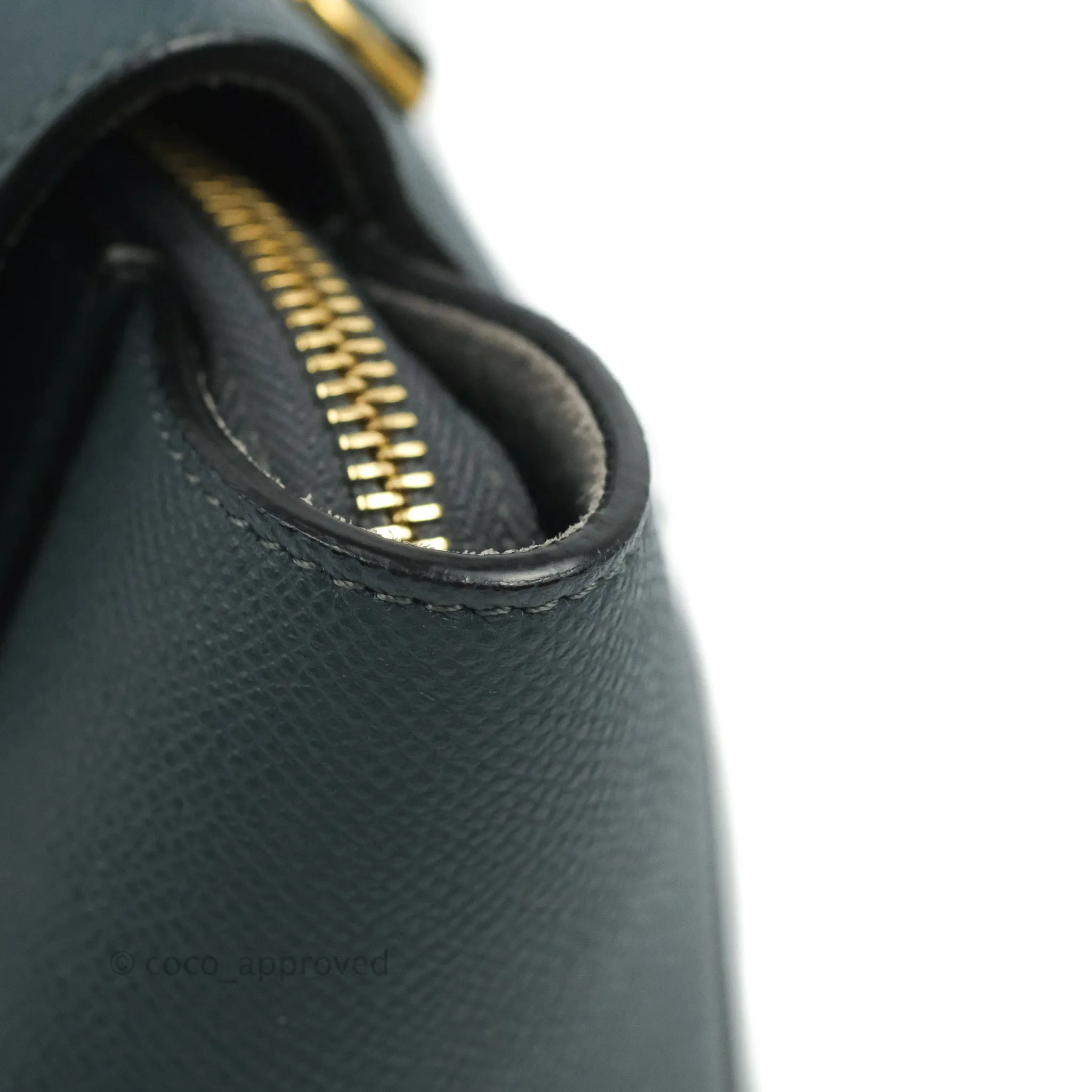 Celine Nano Belt Bag Amazone Grained Calfskin Gold Hardware