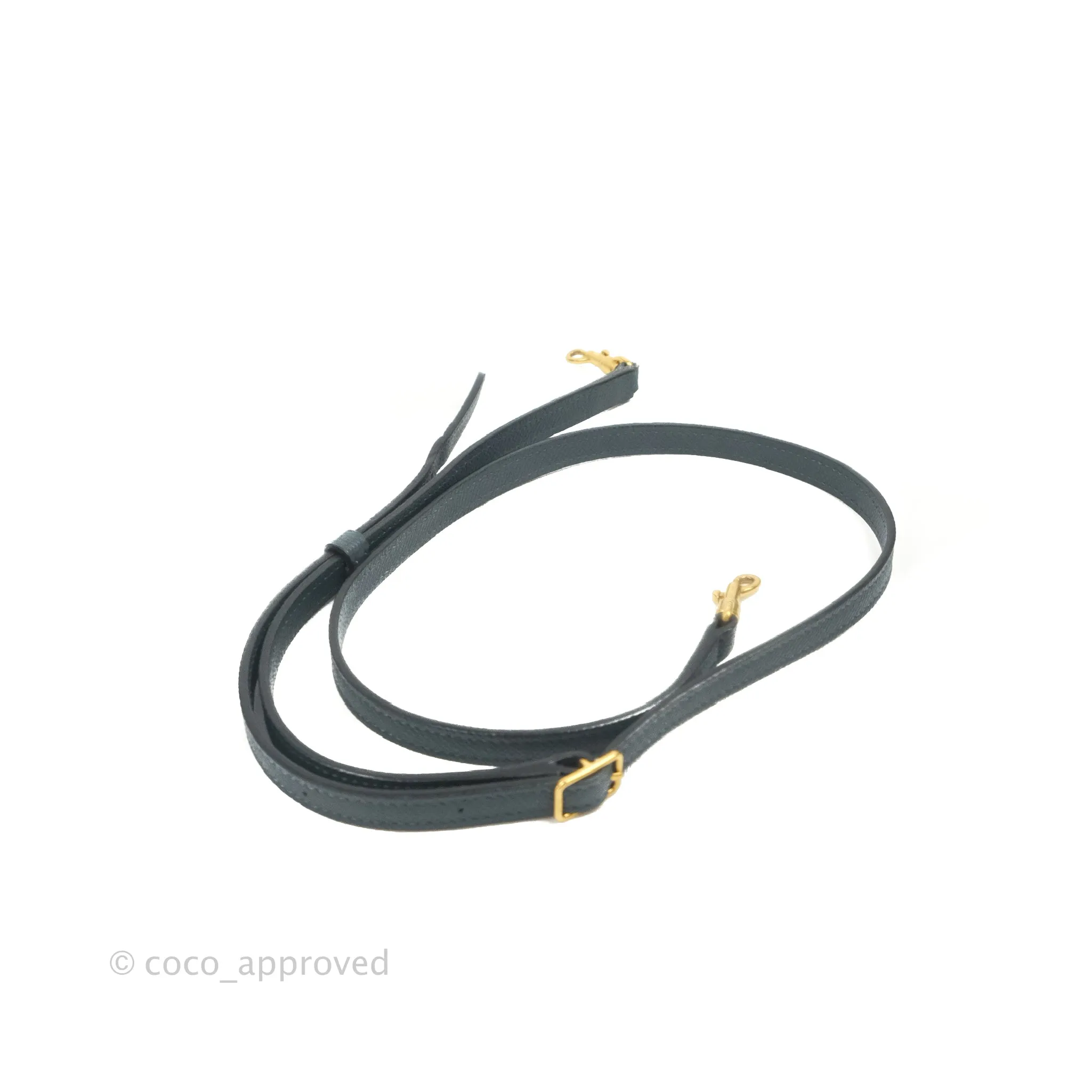Celine Nano Belt Bag Amazone Grained Calfskin Gold Hardware