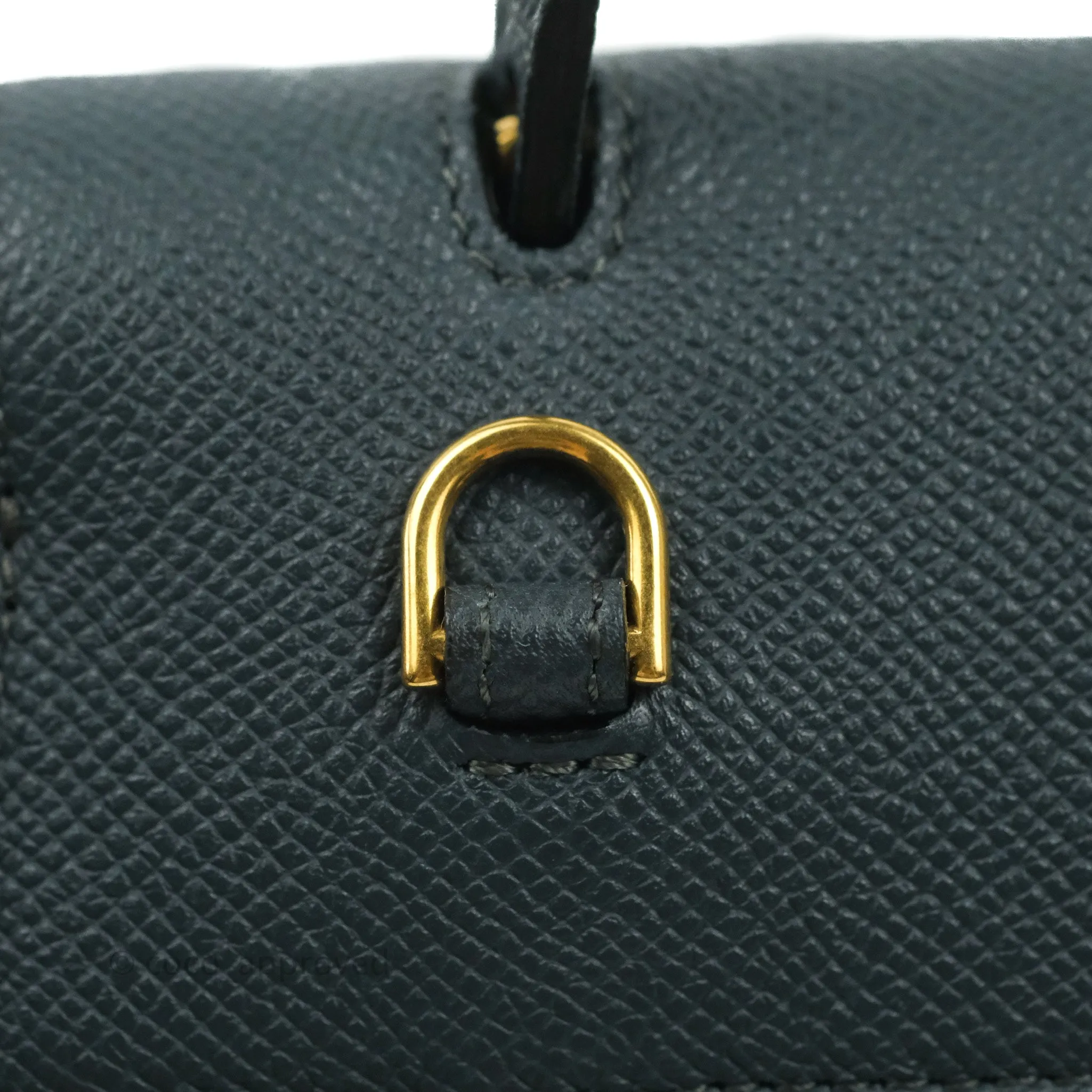 Celine Nano Belt Bag Amazone Grained Calfskin Gold Hardware