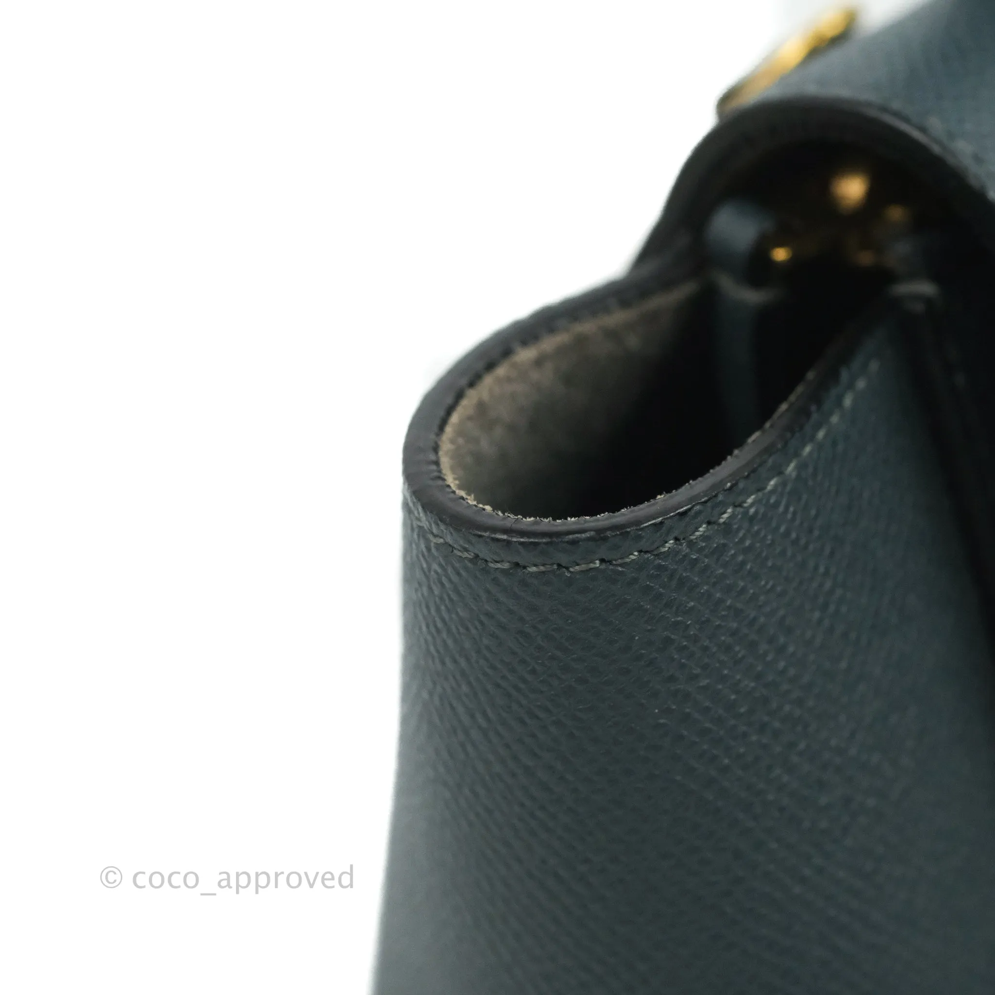 Celine Nano Belt Bag Amazone Grained Calfskin Gold Hardware