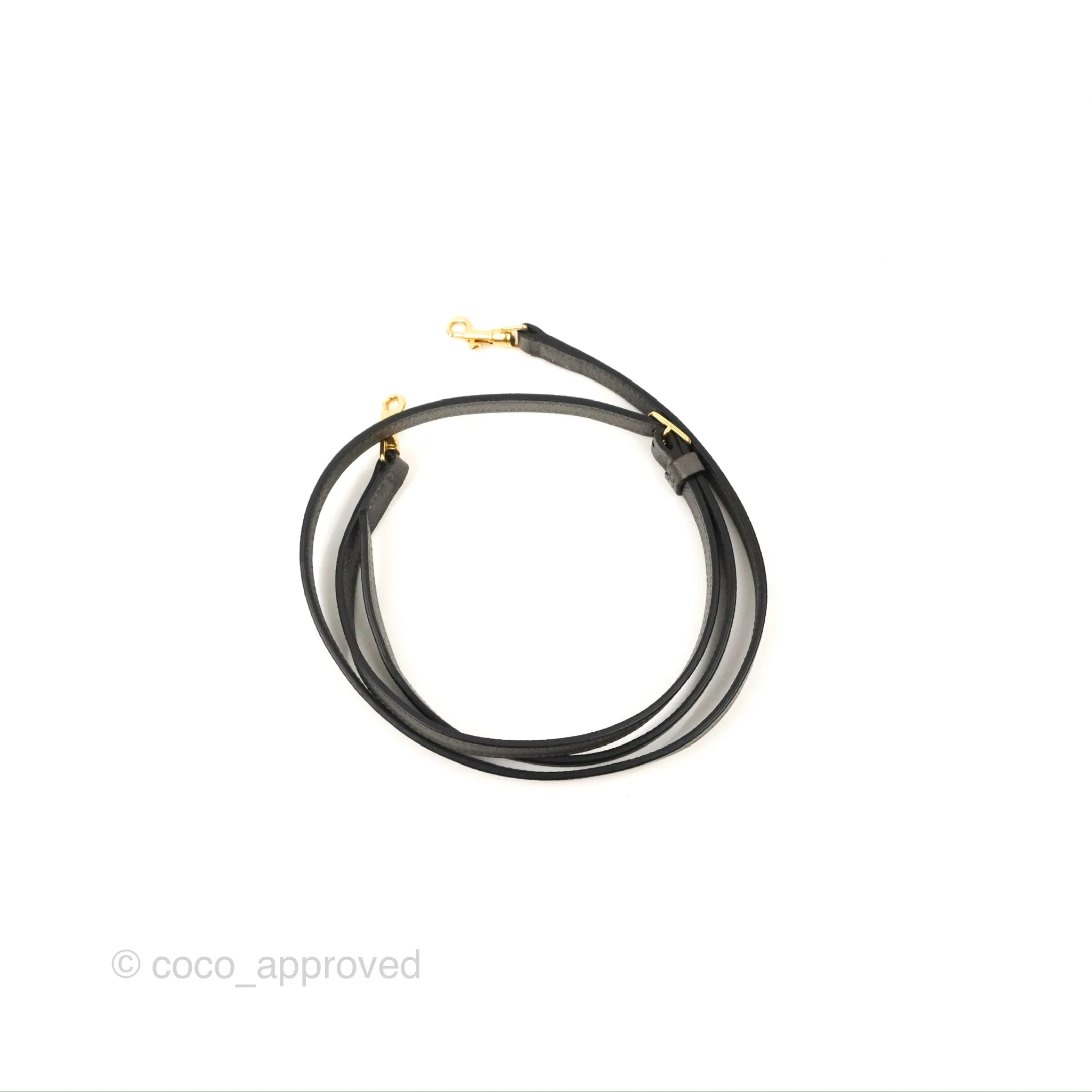 Celine Nano Belt Bag Grey Grained Calfskin Gold Hardware
