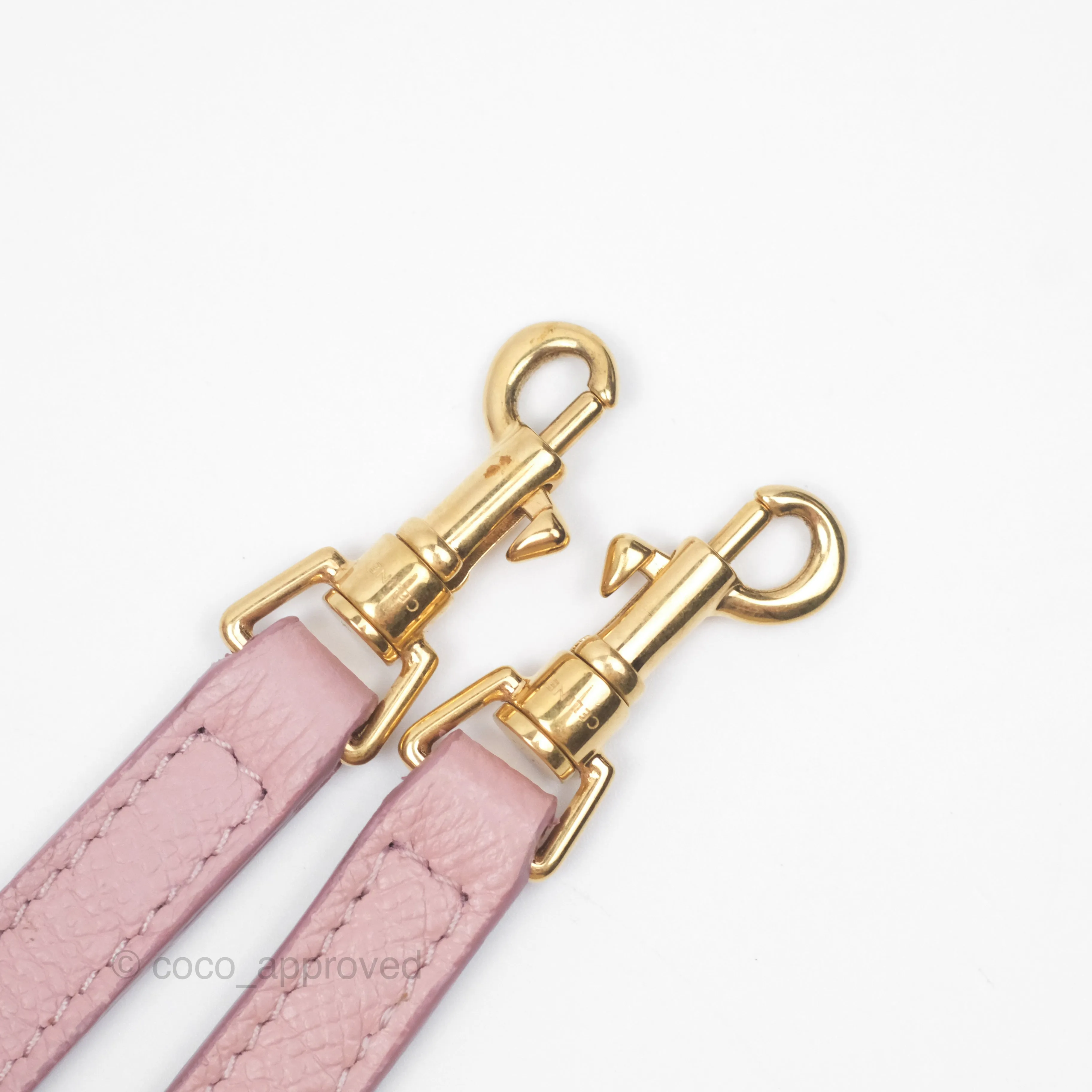 Celine Nano Belt Bag Pink Grained Calfskin Gold Hardware