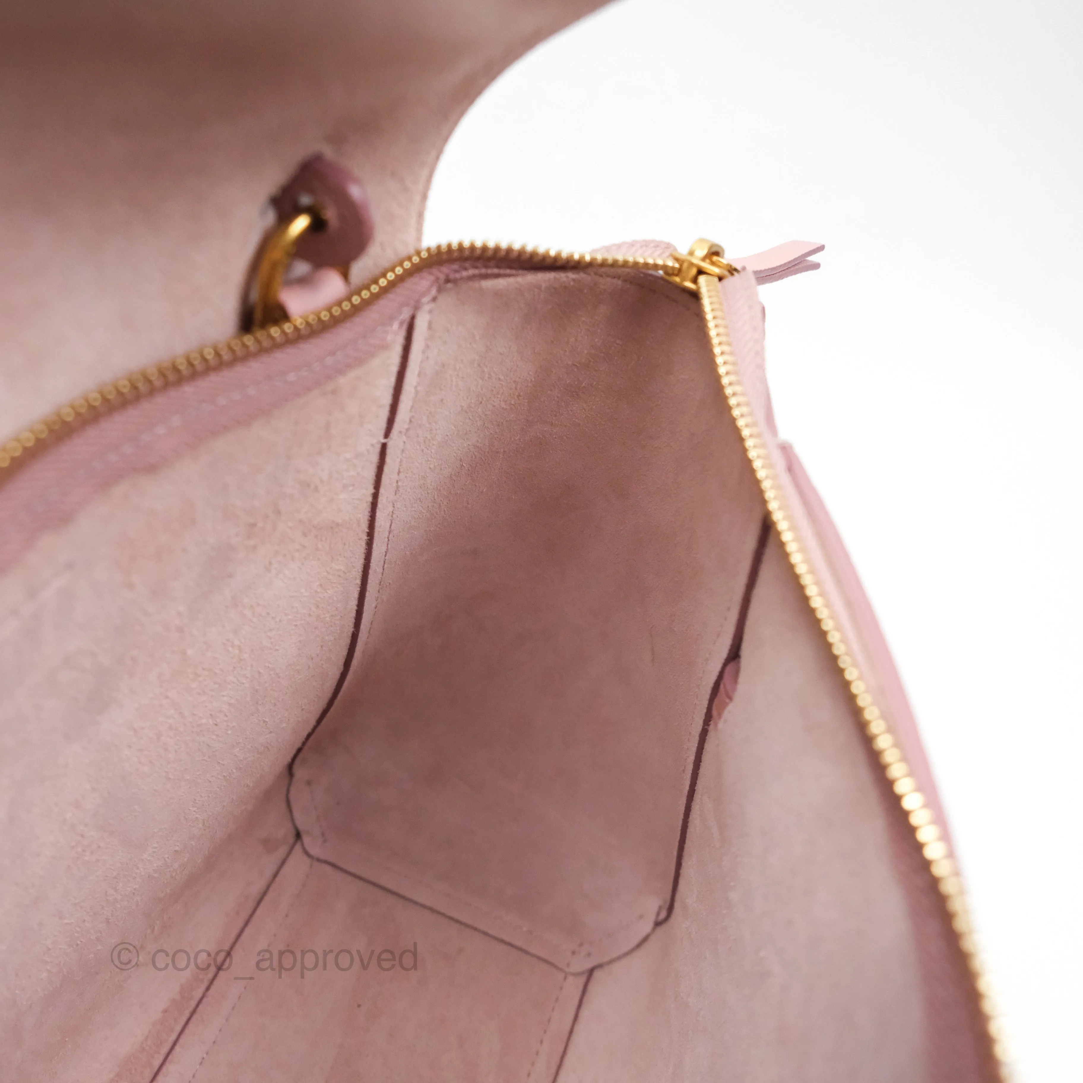 Celine Nano Belt Bag Pink Grained Calfskin Gold Hardware