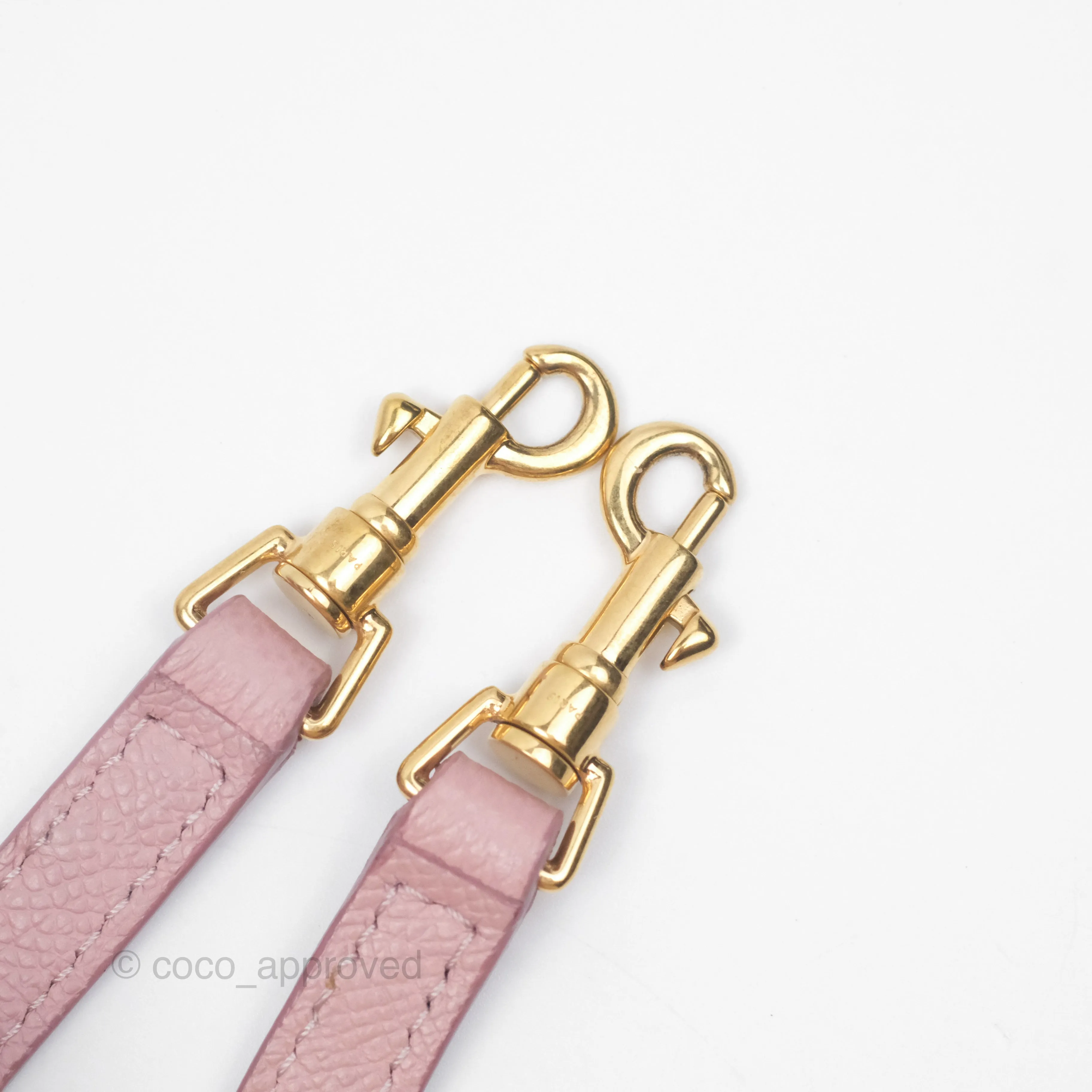 Celine Nano Belt Bag Pink Grained Calfskin Gold Hardware