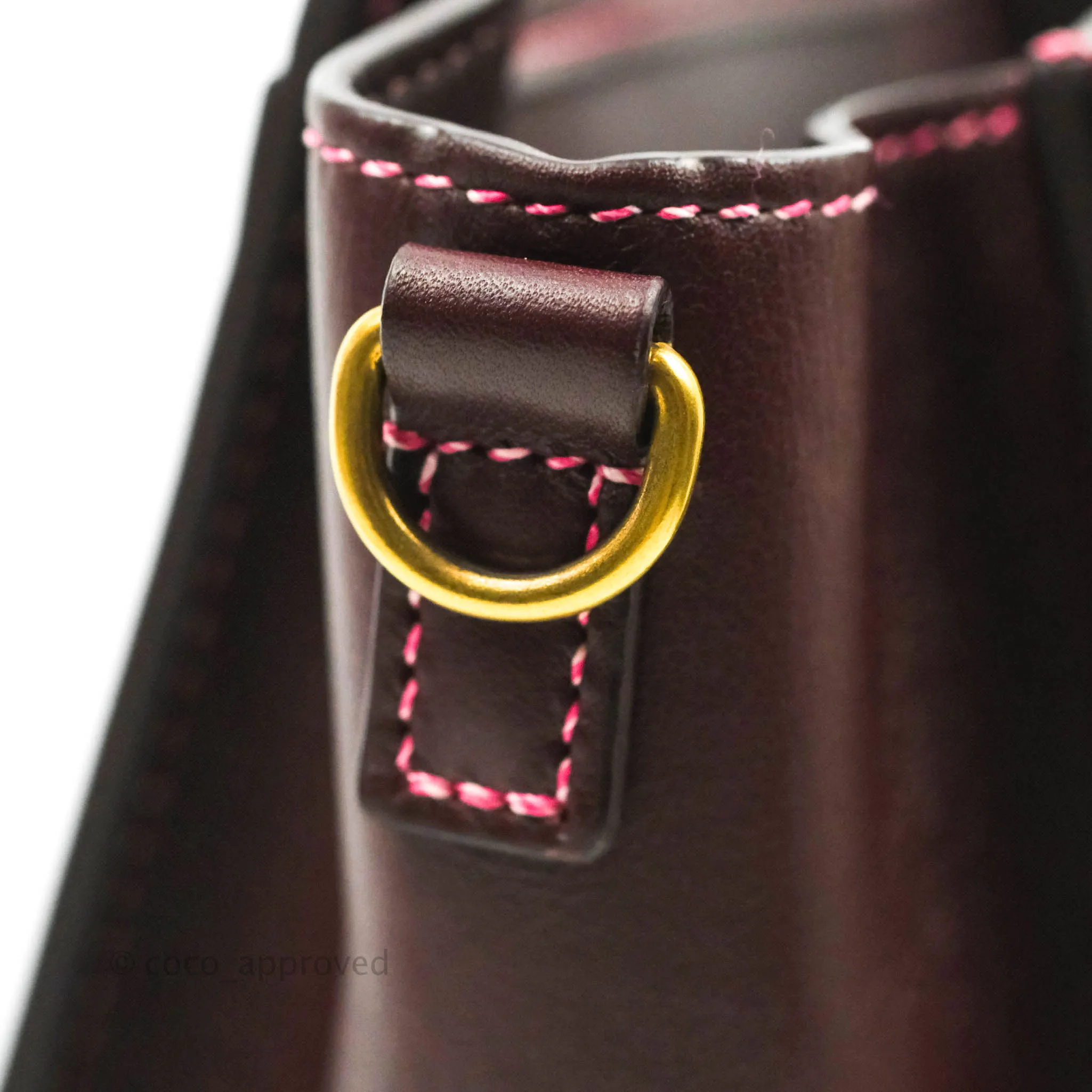 Celine Nano Luggage Bag Burgundy Gold Hardware