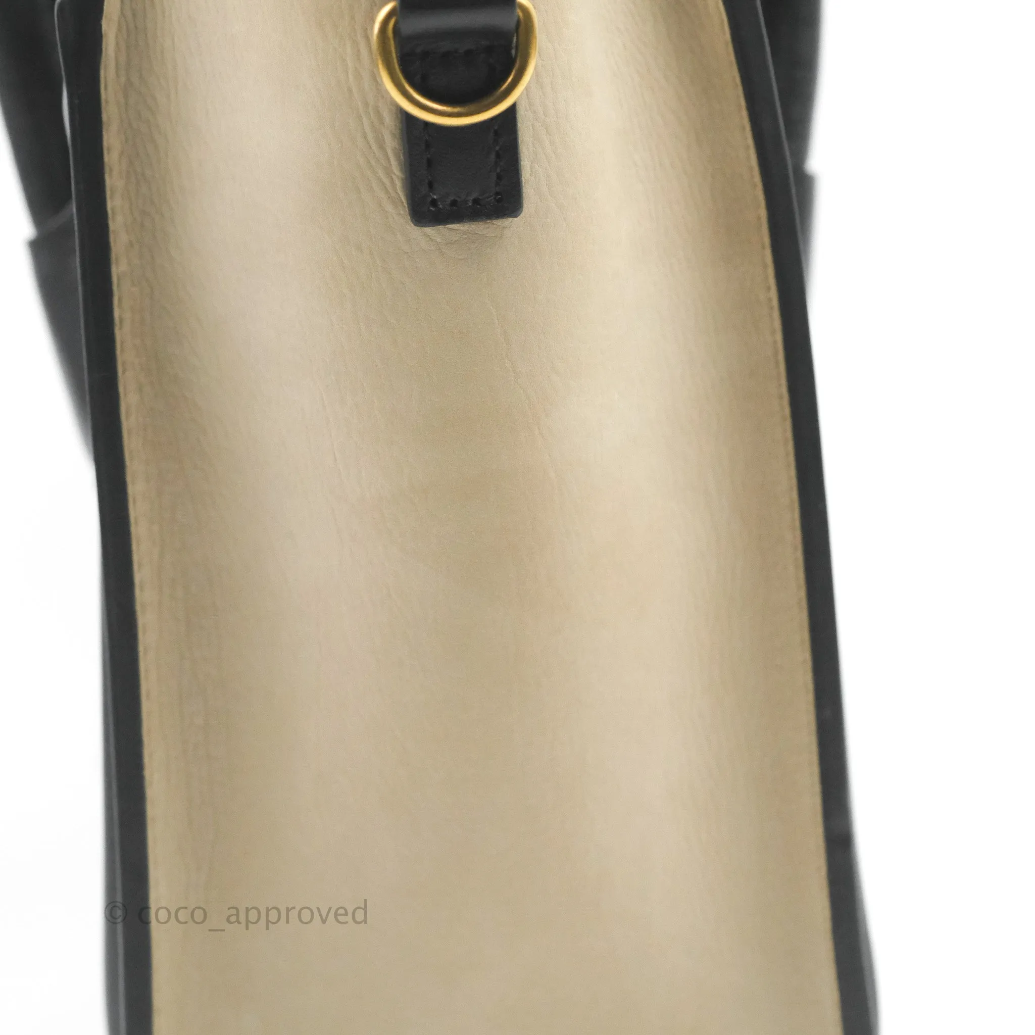 Celine Nano Luggage Bag Tricolour Dune/White/Black Grained Calfskin