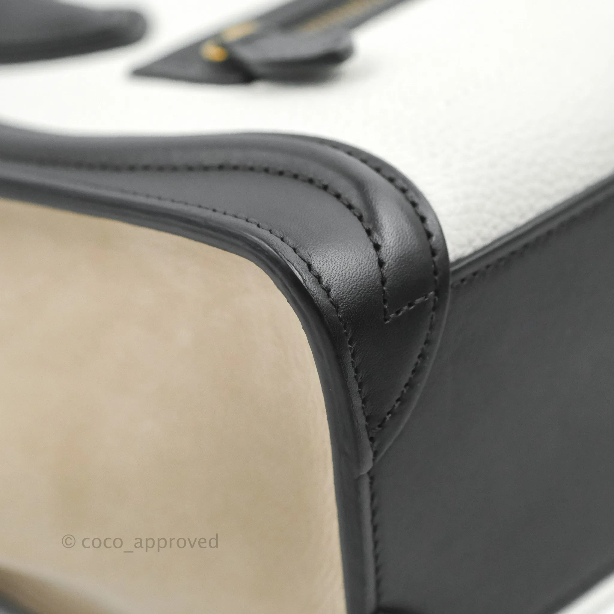 Celine Nano Luggage Bag Tricolour Dune/White/Black Grained Calfskin