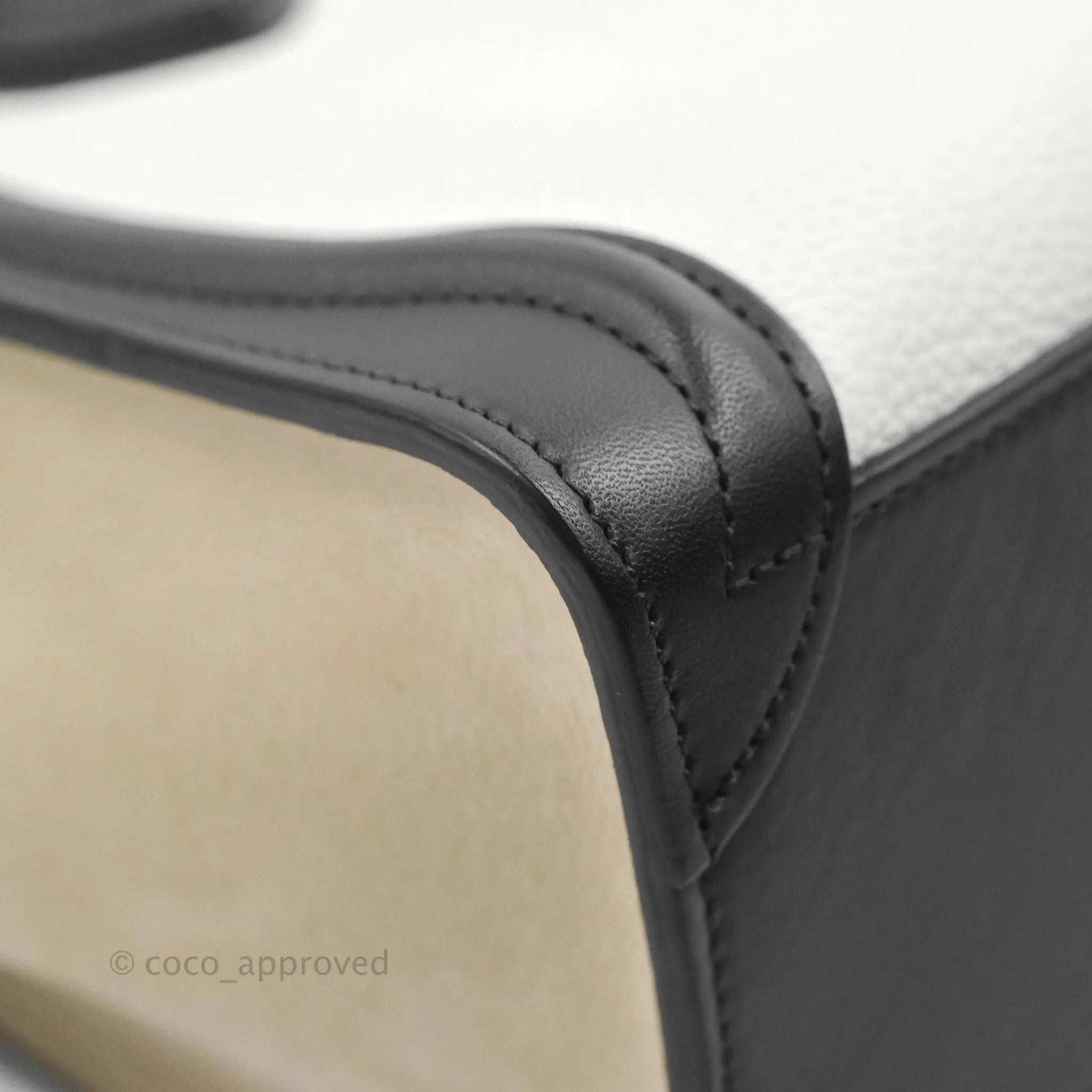 Celine Nano Luggage Bag Tricolour Dune/White/Black Grained Calfskin