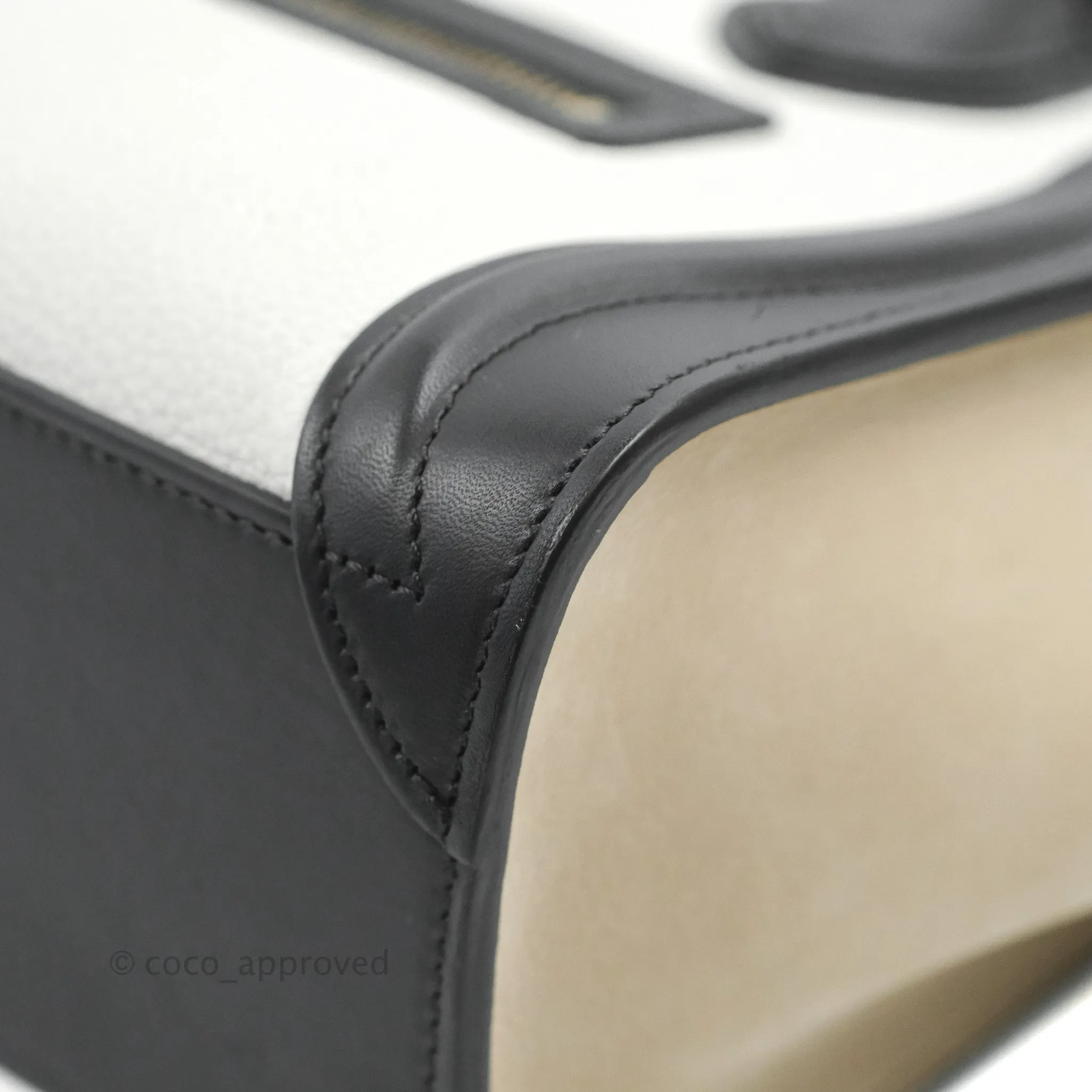 Celine Nano Luggage Bag Tricolour Dune/White/Black Grained Calfskin
