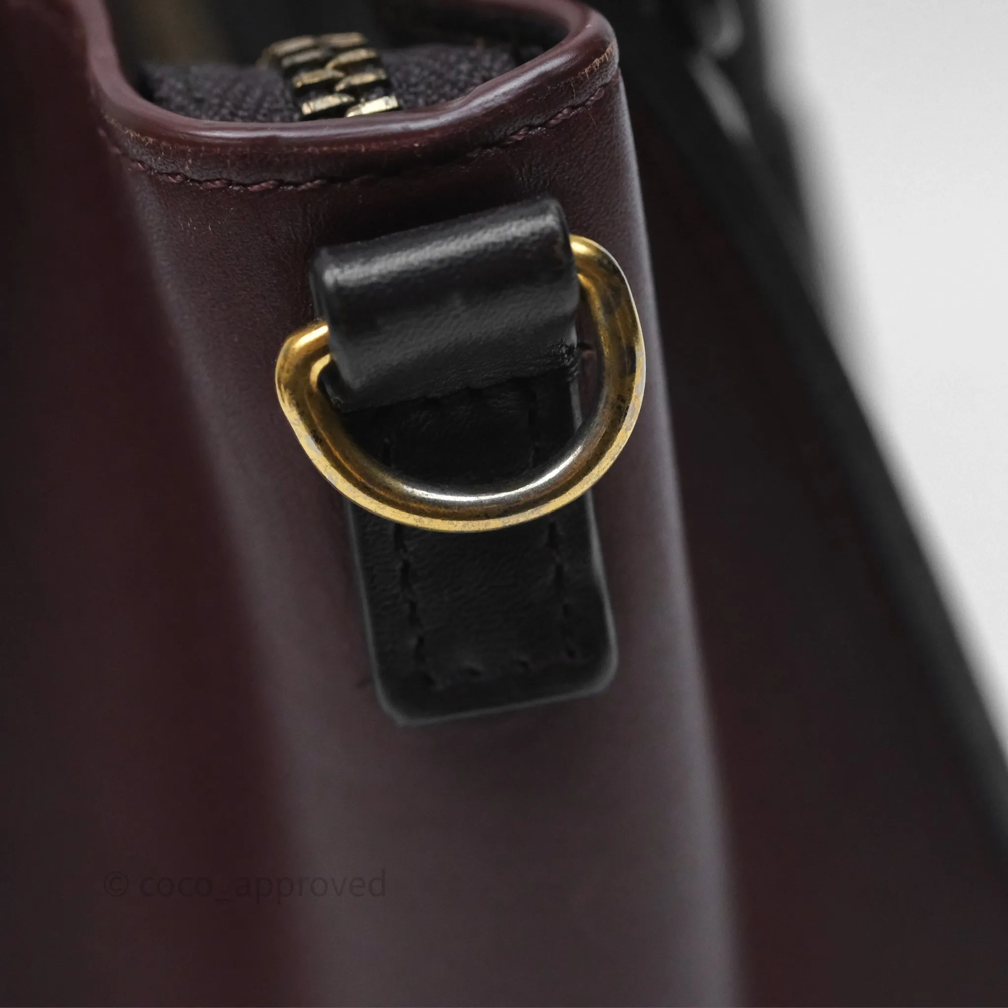 Celine Nano Luggage Satin Calfskin Gold Hardware Red/ Dark Brown