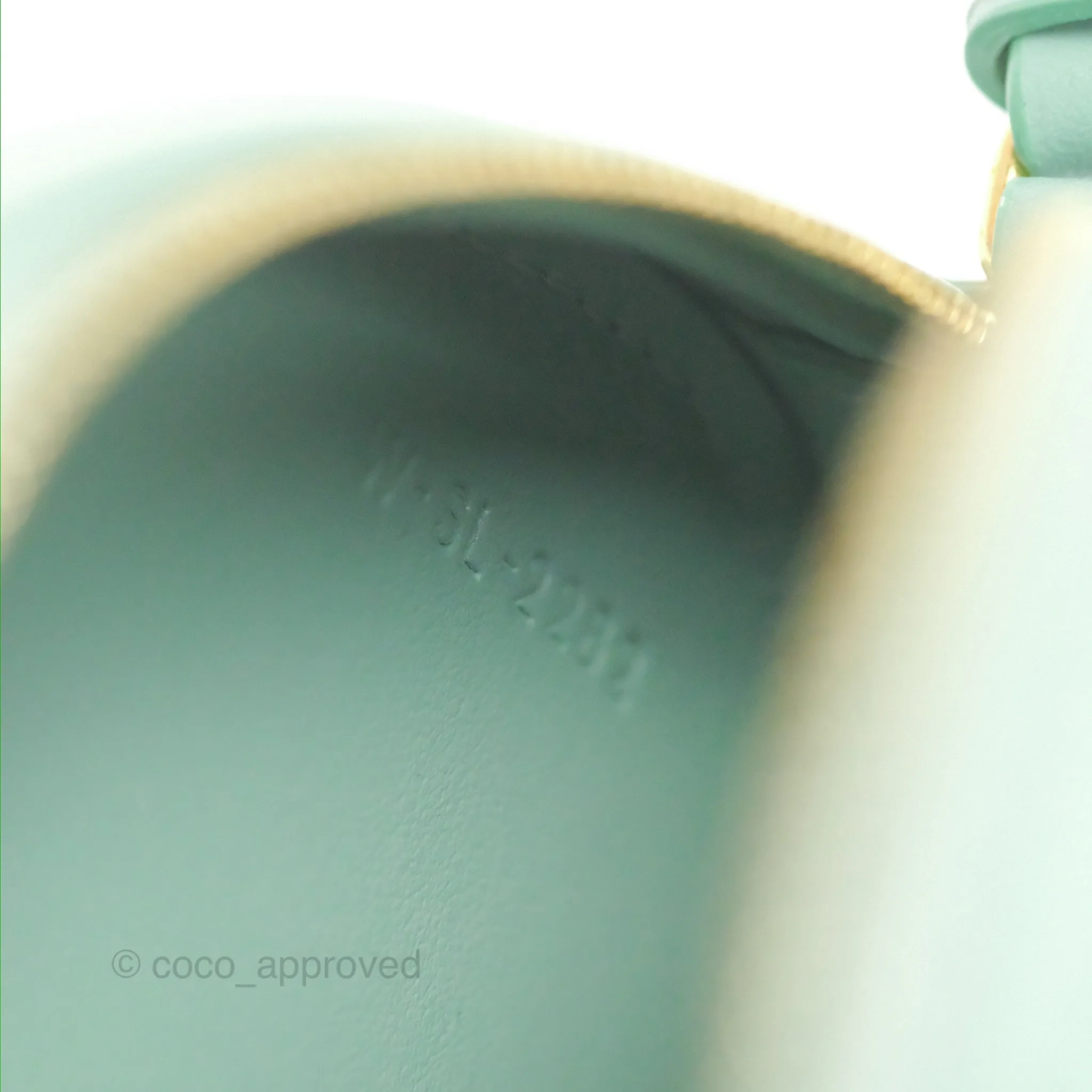 Celine Oval Bag Cuir Triomphe Ice Mint Calfskin