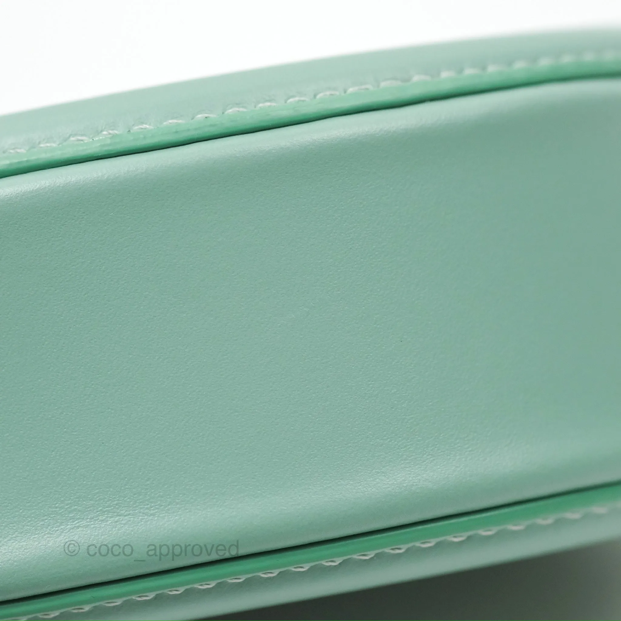 Celine Oval Bag Cuir Triomphe Ice Mint Calfskin