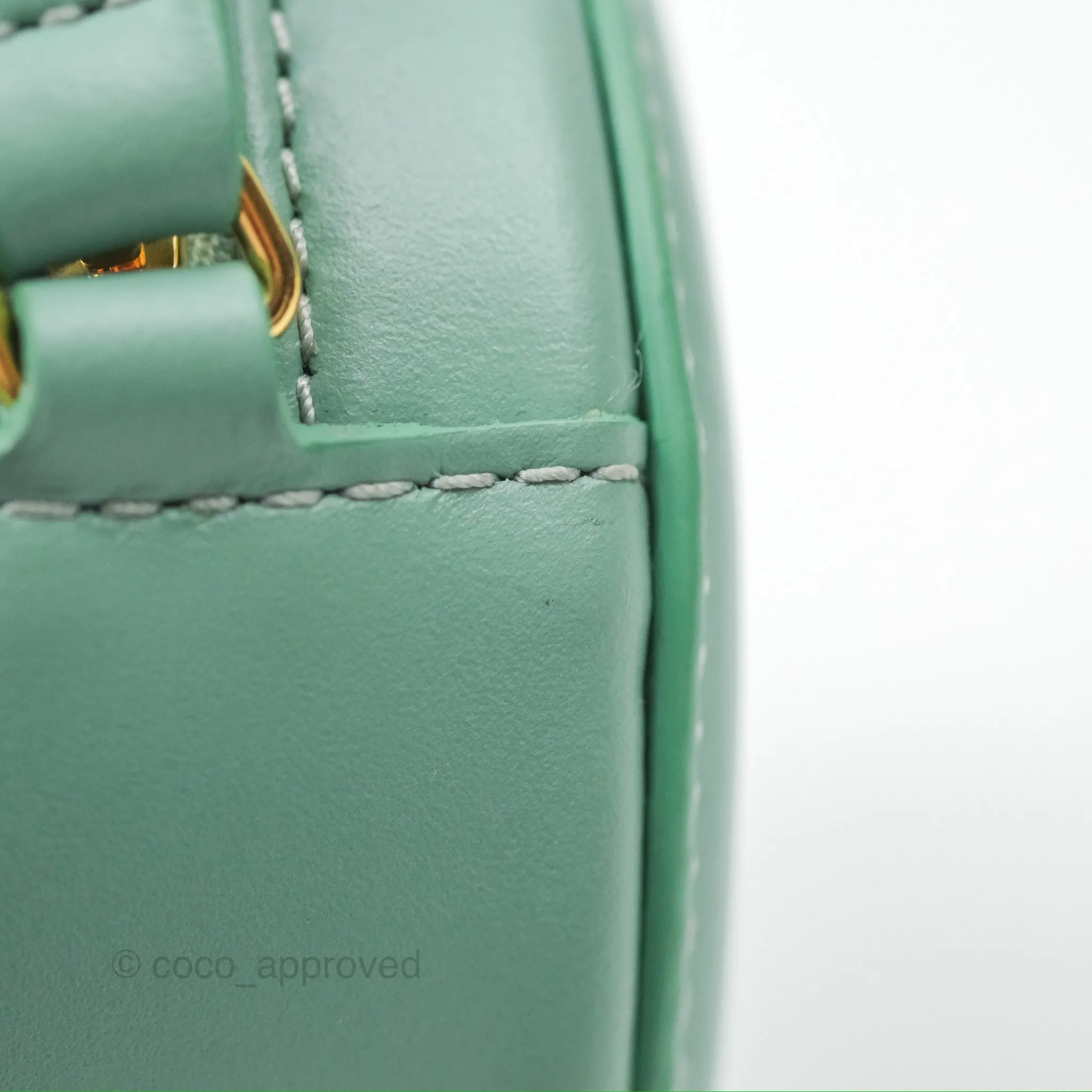 Celine Oval Bag Cuir Triomphe Ice Mint Calfskin