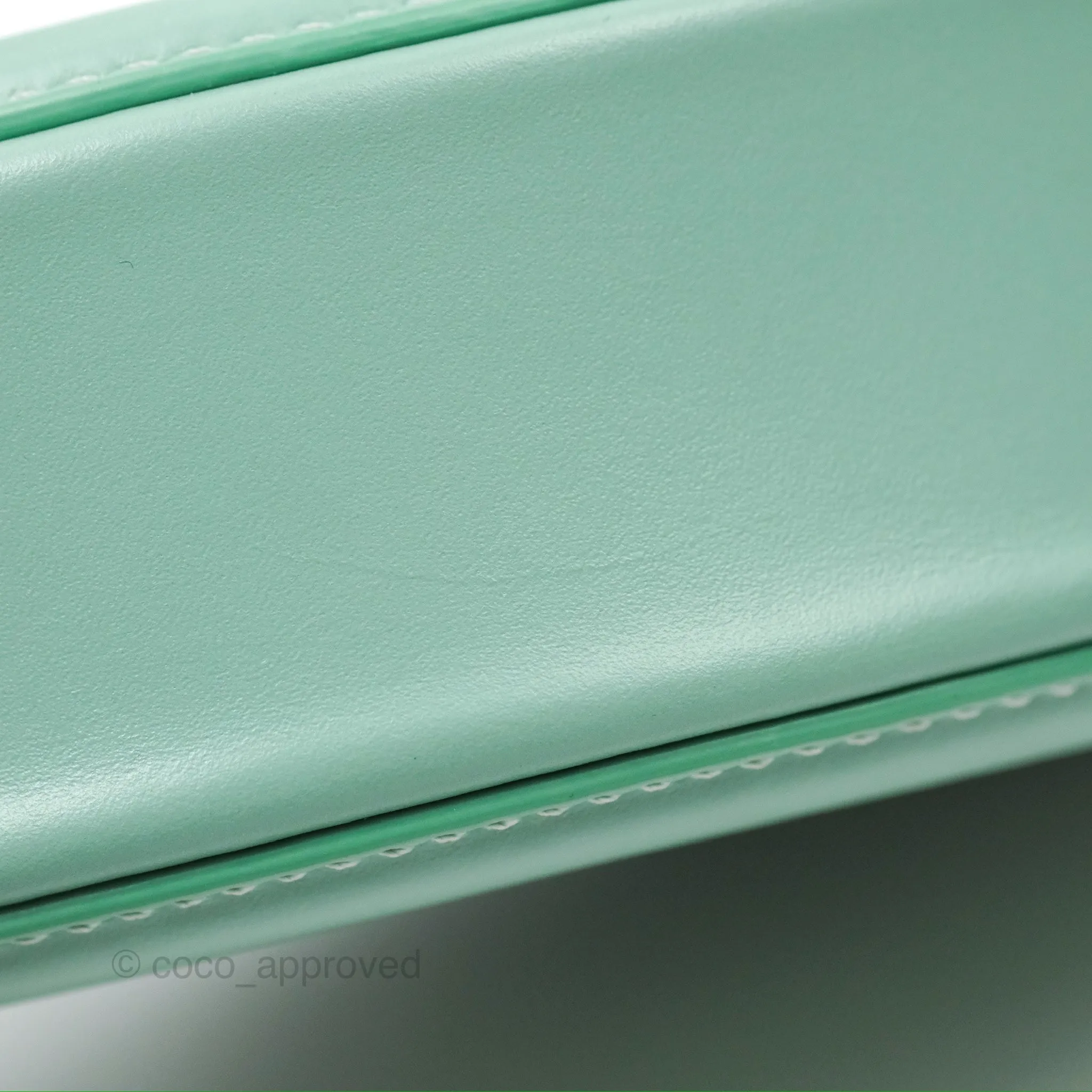 Celine Oval Bag Cuir Triomphe Ice Mint Calfskin