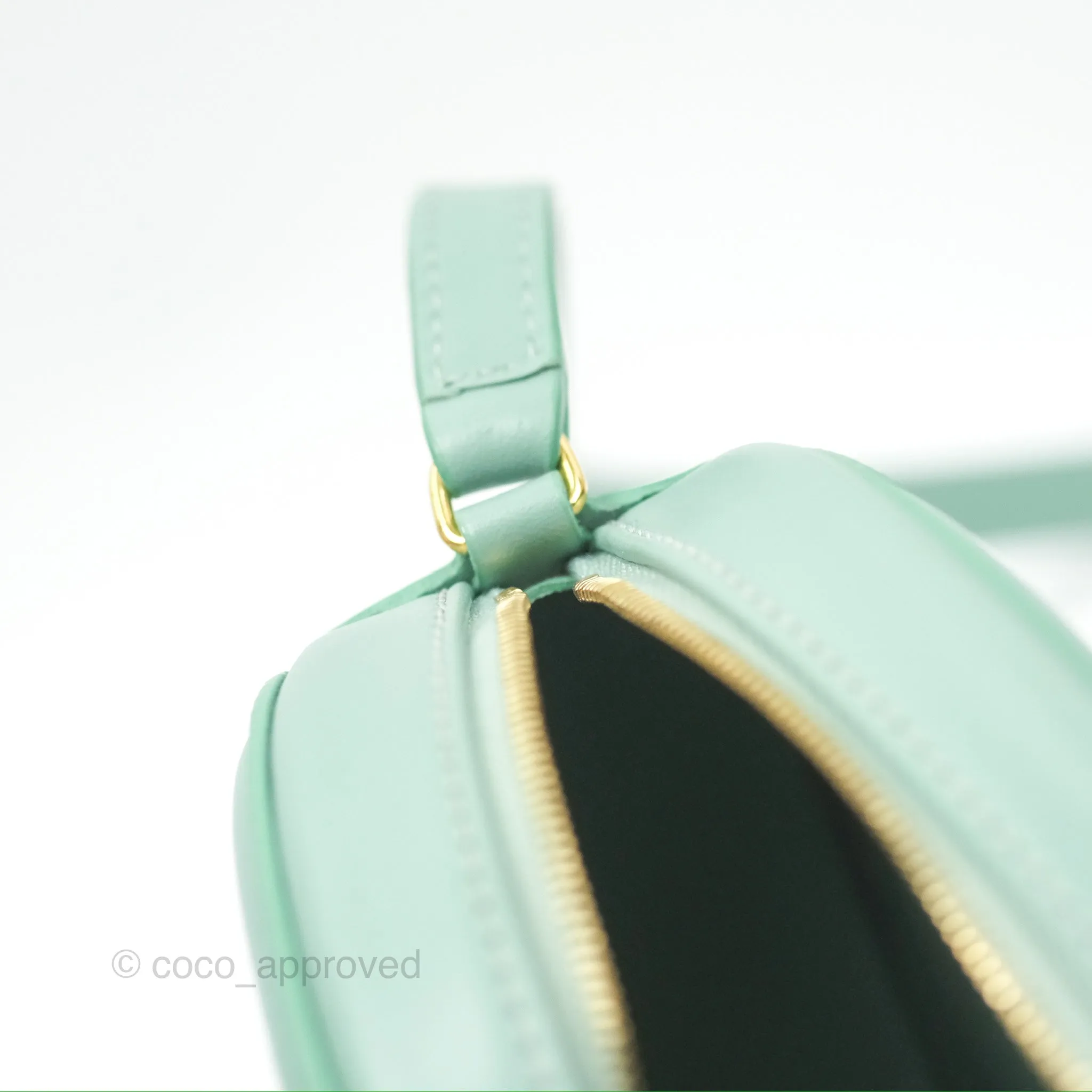 Celine Oval Bag Cuir Triomphe Ice Mint Calfskin