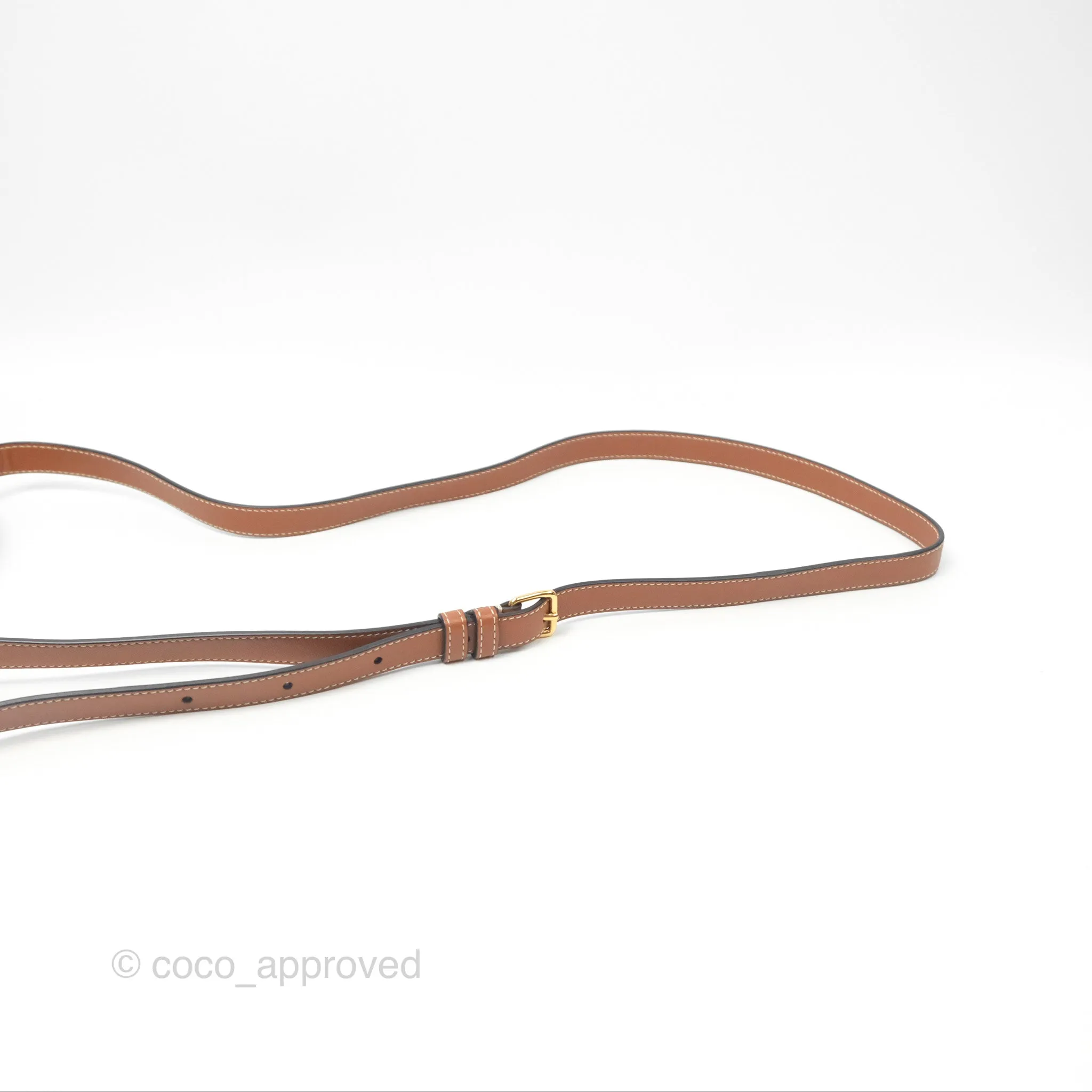Celine Round Purse on Strap Triomphe Canvas White Tan