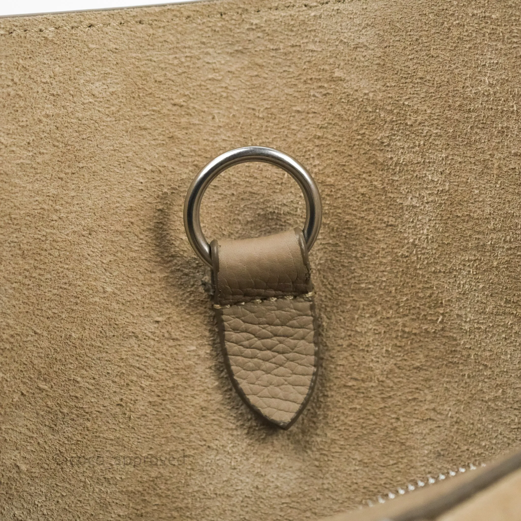Celine Small Big Bag Light Taupe Supple Grained Leather Silver Hardware