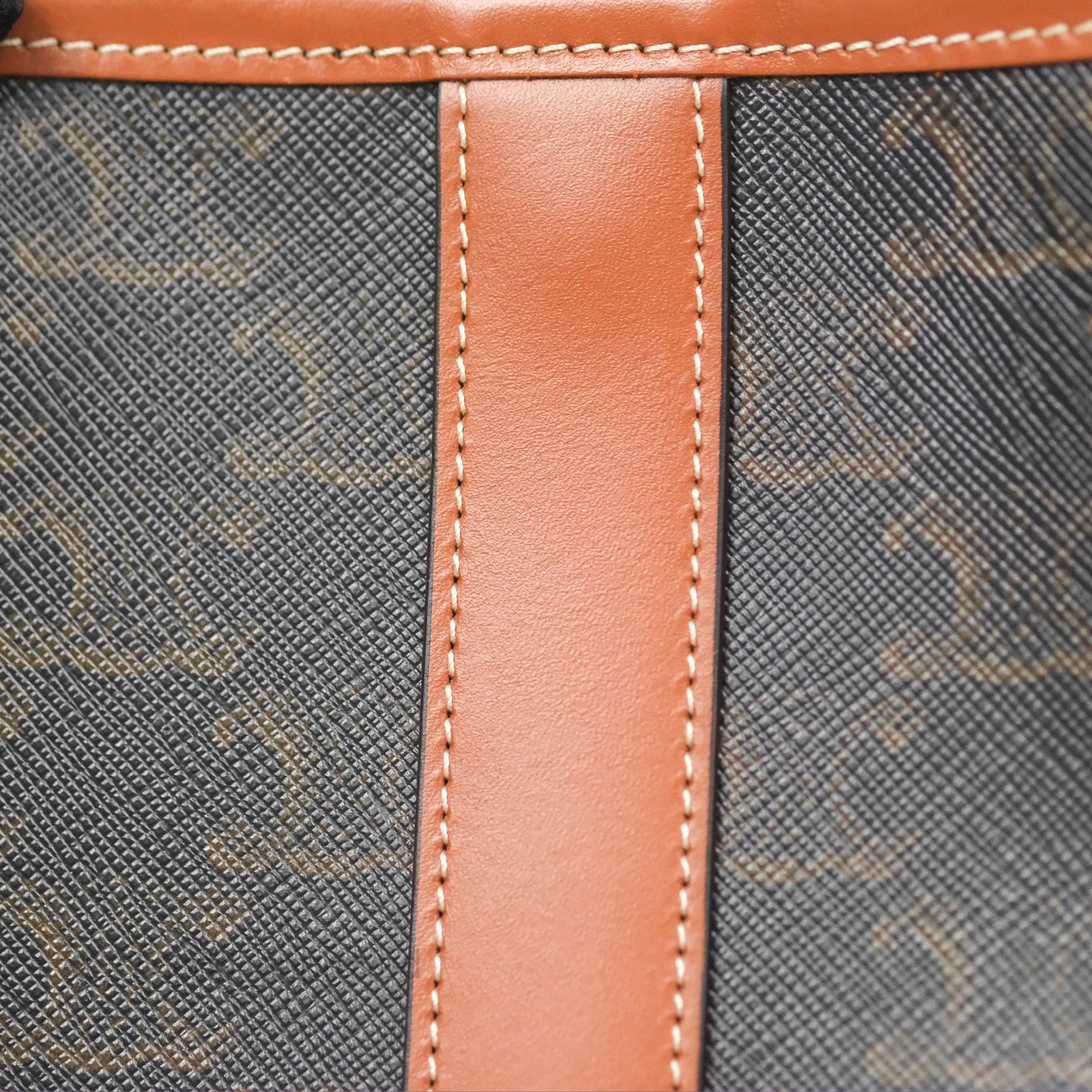 Celine Small Bucket Triomphe Canvas Tan Calfskin