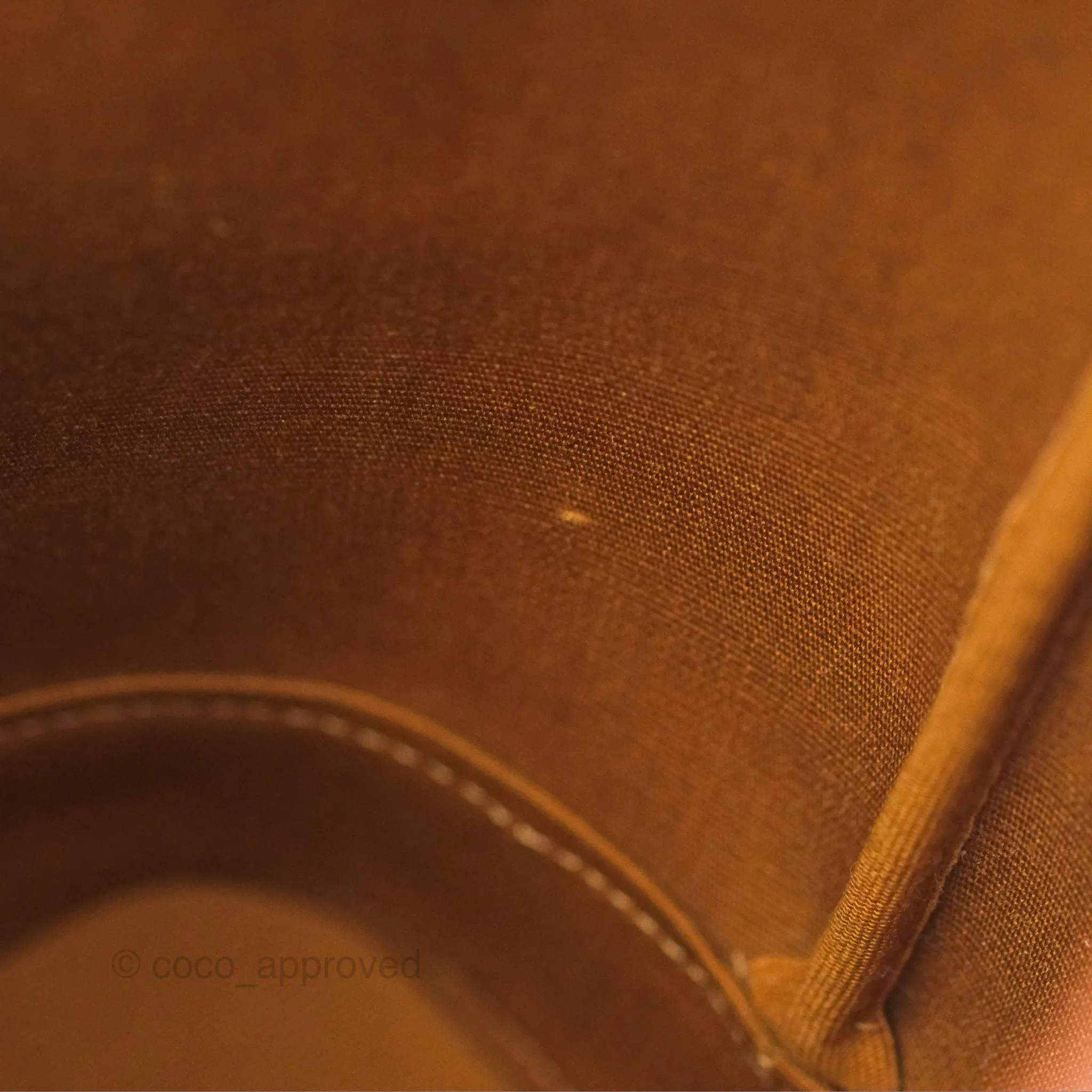 Celine Small Bucket Triomphe Canvas Tan Calfskin
