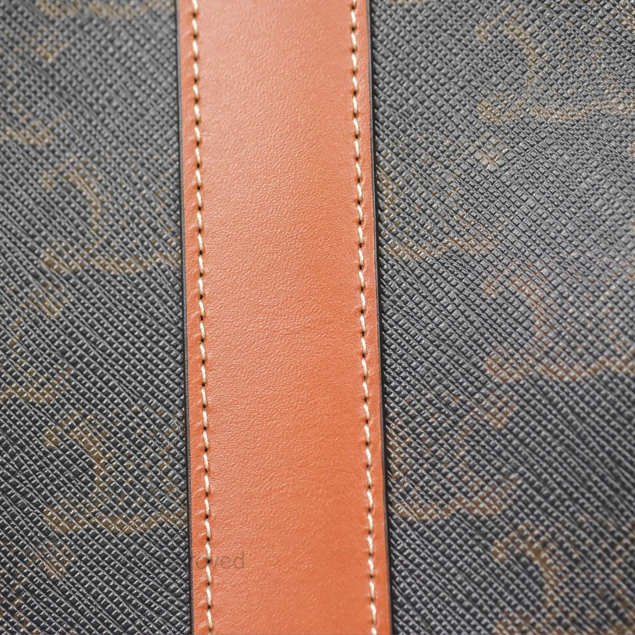 Celine Small Bucket Triomphe Canvas Tan Calfskin