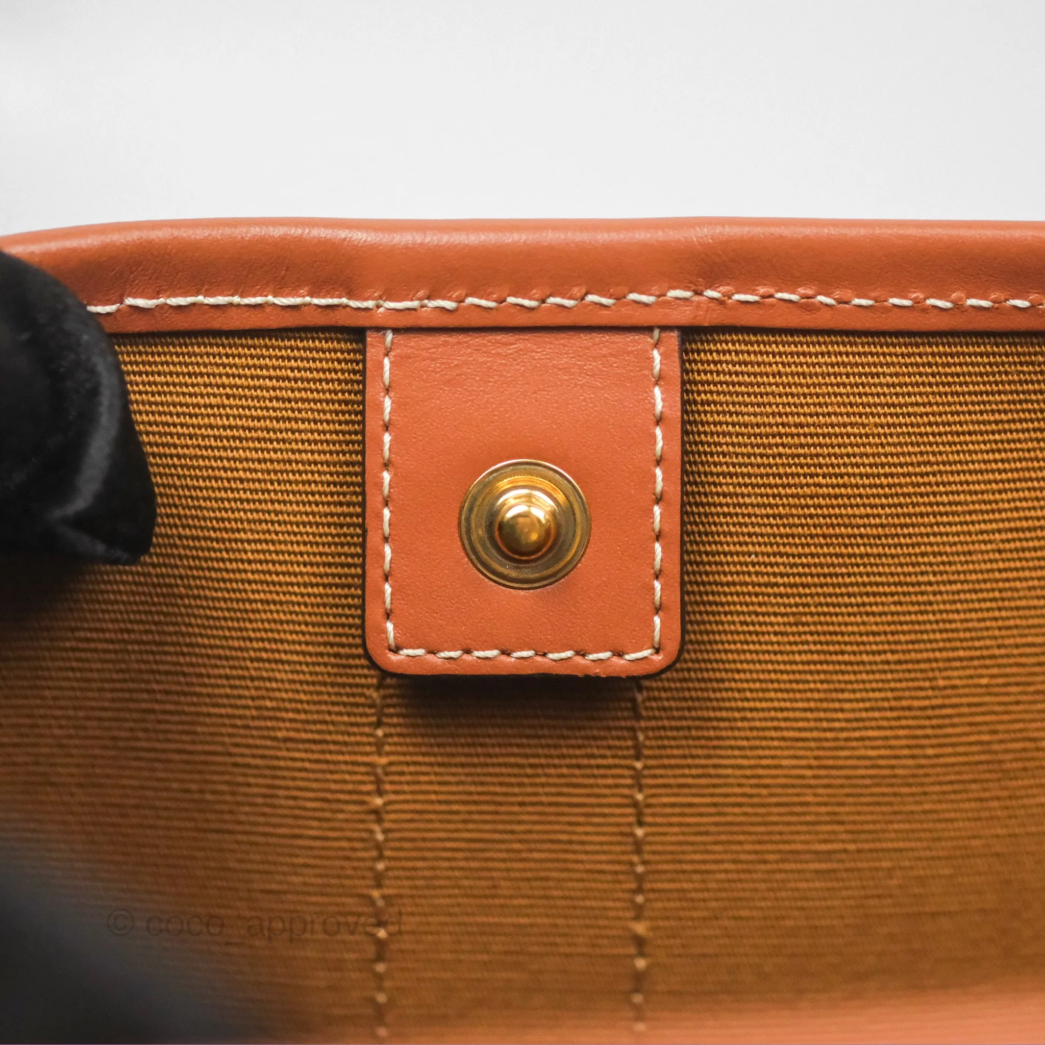 Celine Small Bucket Triomphe Canvas Tan Calfskin