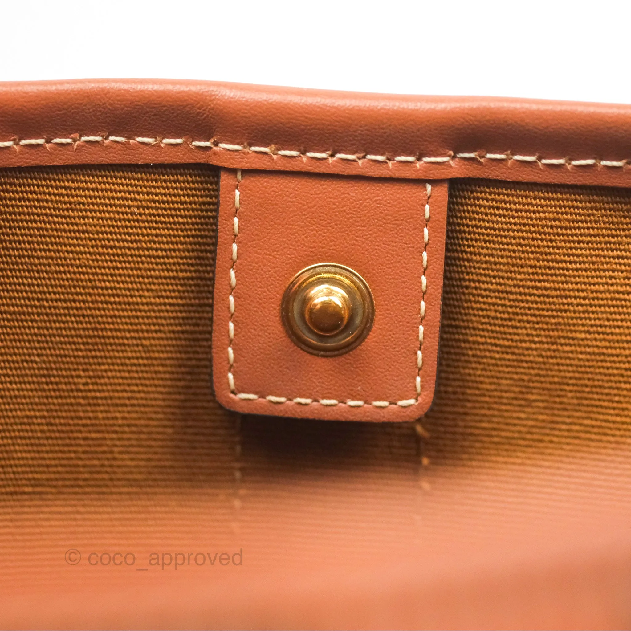 Celine Small Bucket Triomphe Canvas Tan Calfskin