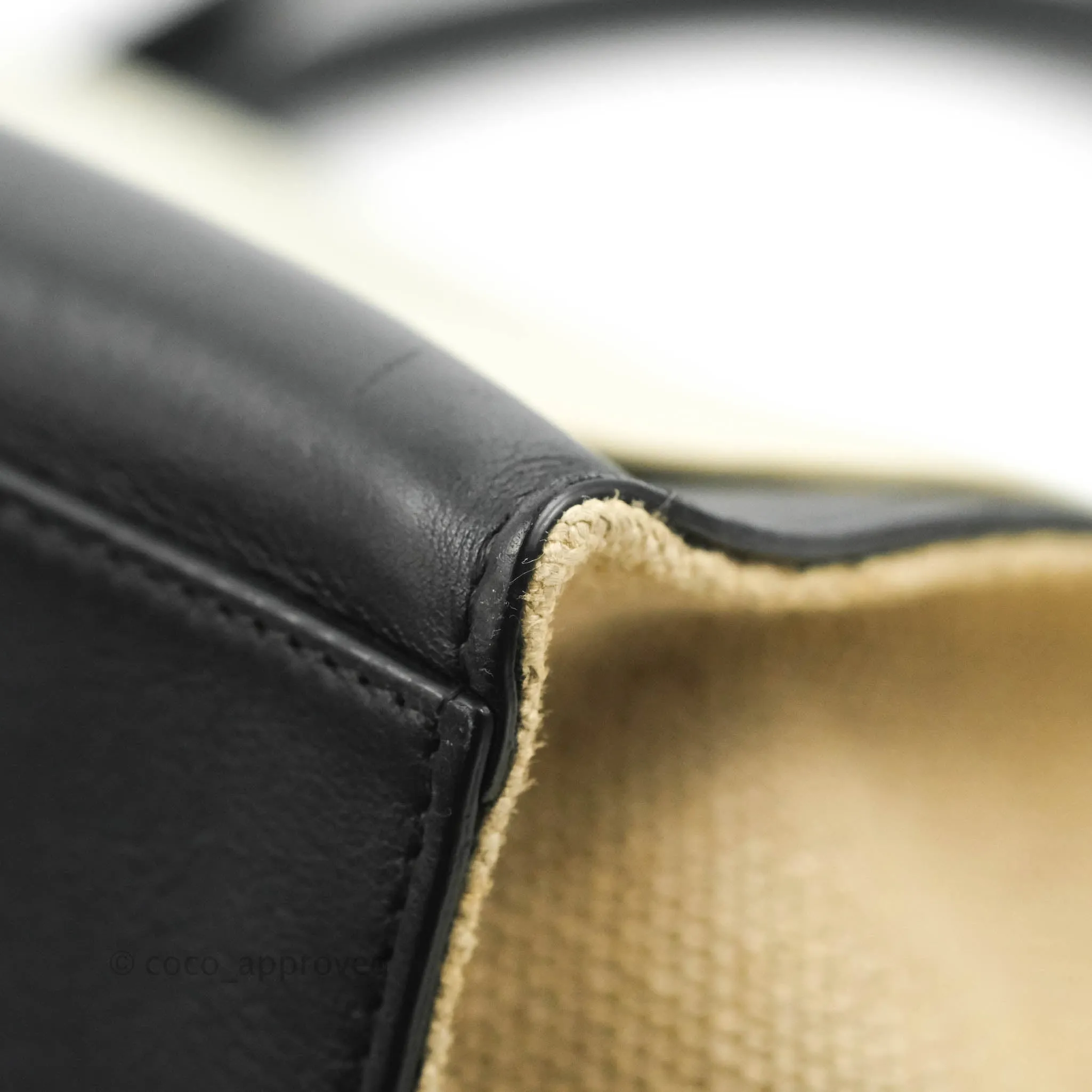 Celine Small Sleek Calfskin Tri-Color Trapeze Ivory Black Raffia
