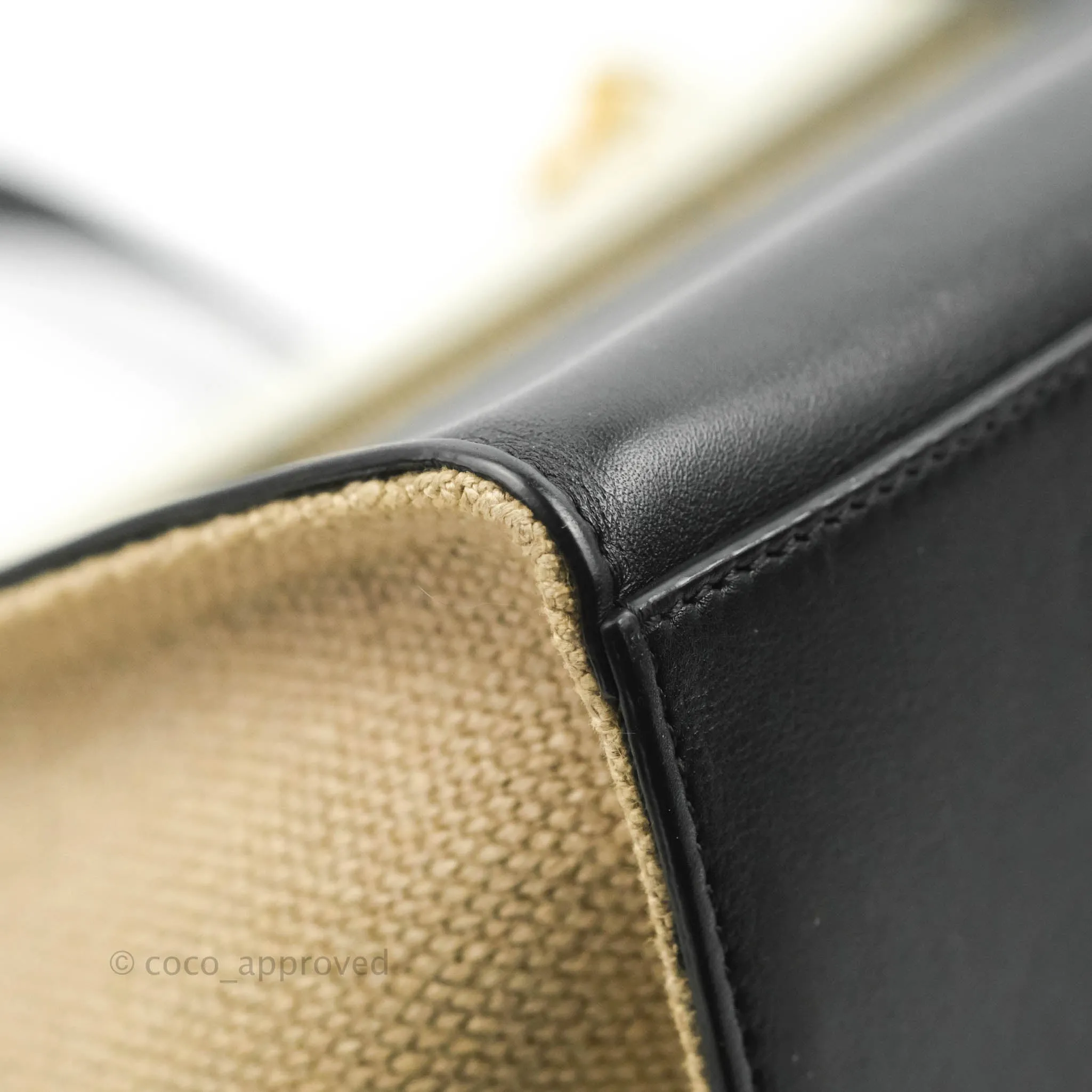 Celine Small Sleek Calfskin Tri-Color Trapeze Ivory Black Raffia
