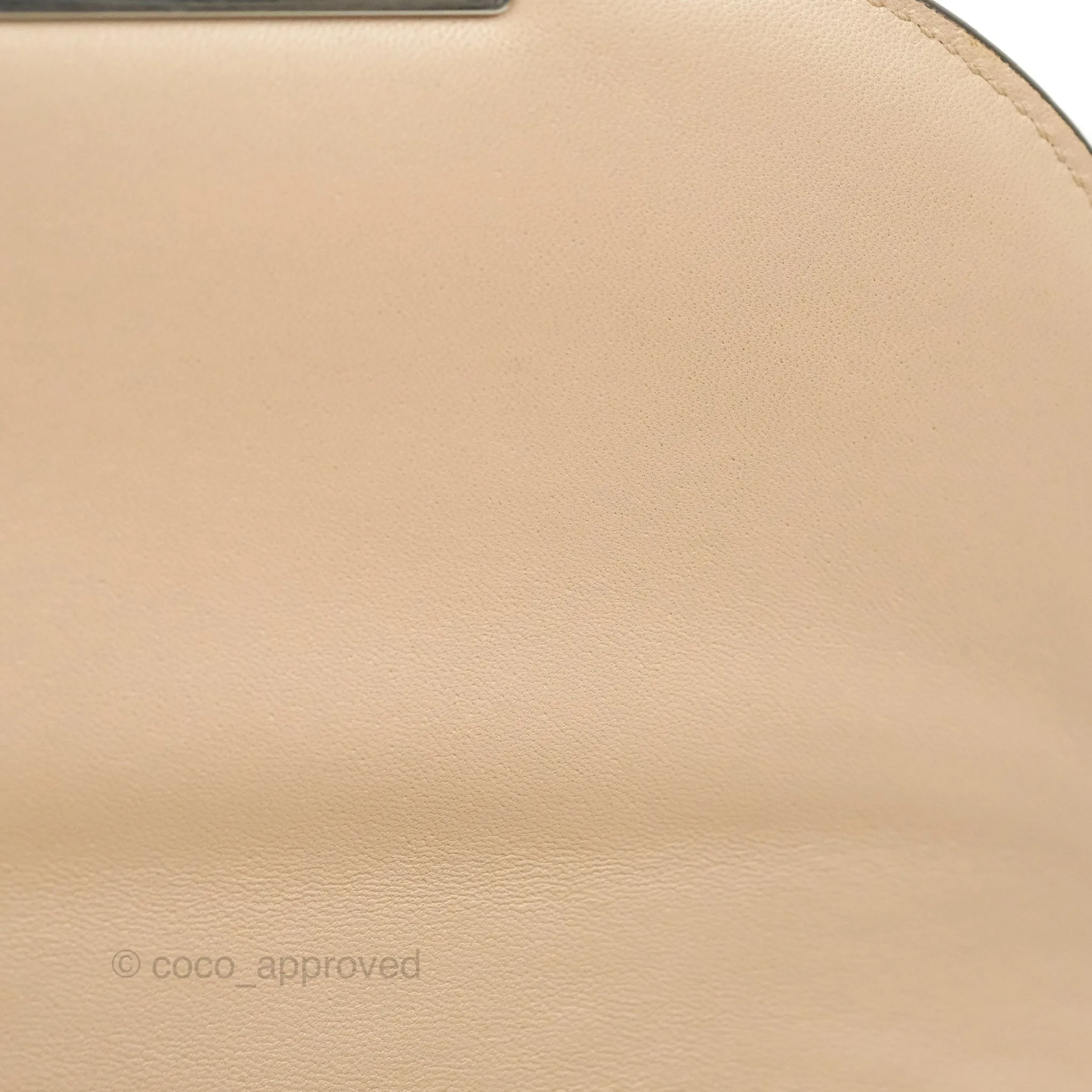 Celine Small Trotteur Crossbody Bag Grained Calfskin Powder