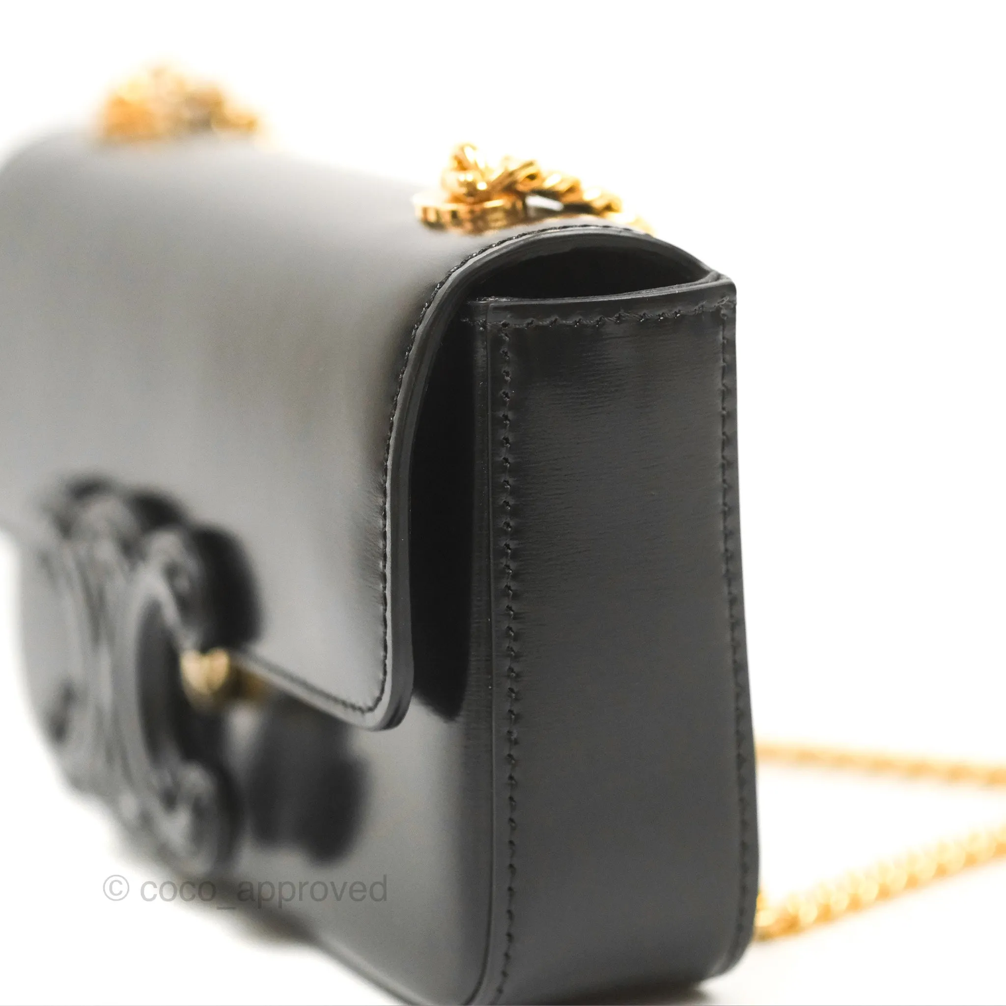 Celine Triomphe Chain Shoulder Bag Black Shiny Calfskin
