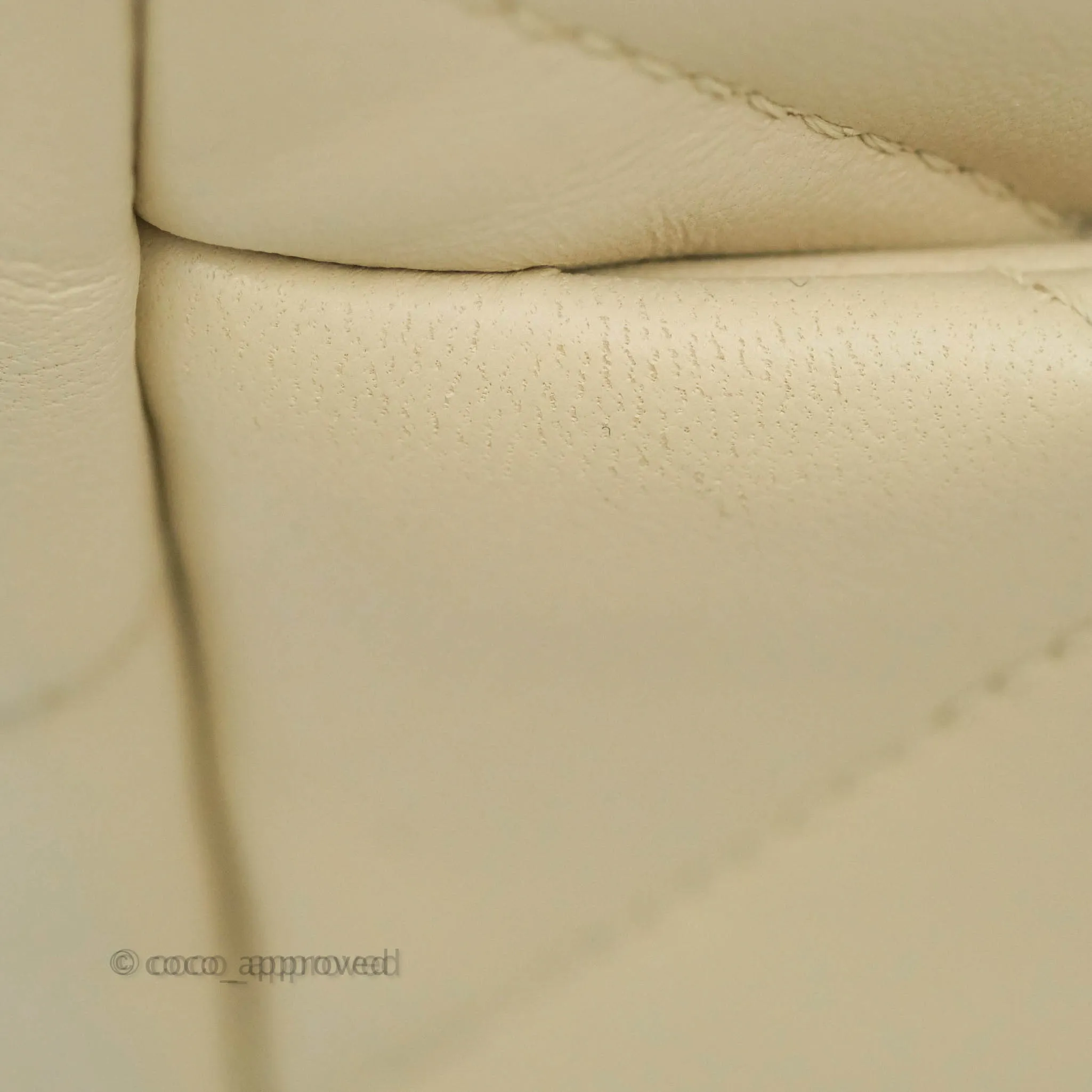 Chanel 19 Medium Beige Cream Goatskin Mixed Hardware