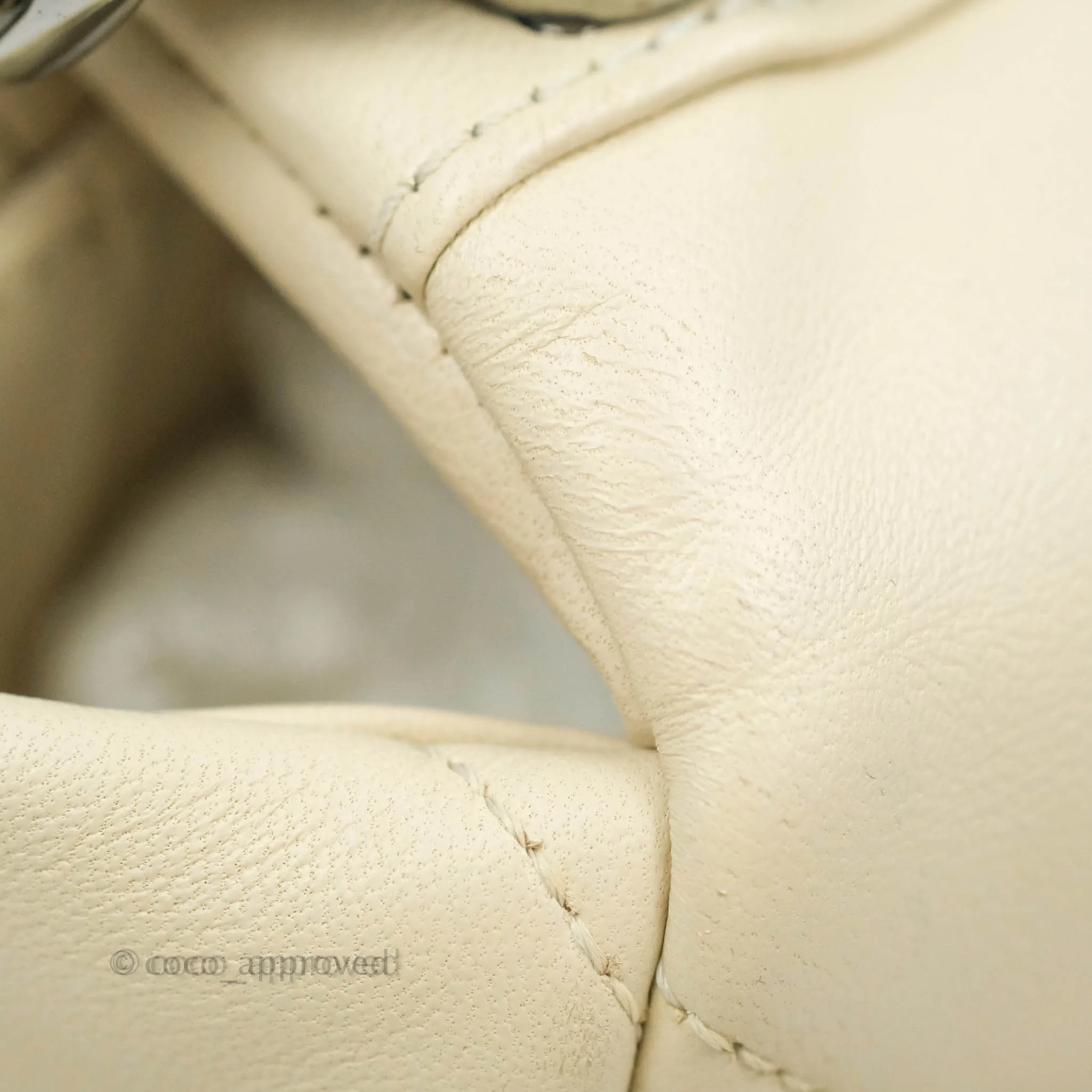 Chanel 19 Medium Beige Cream Goatskin Mixed Hardware