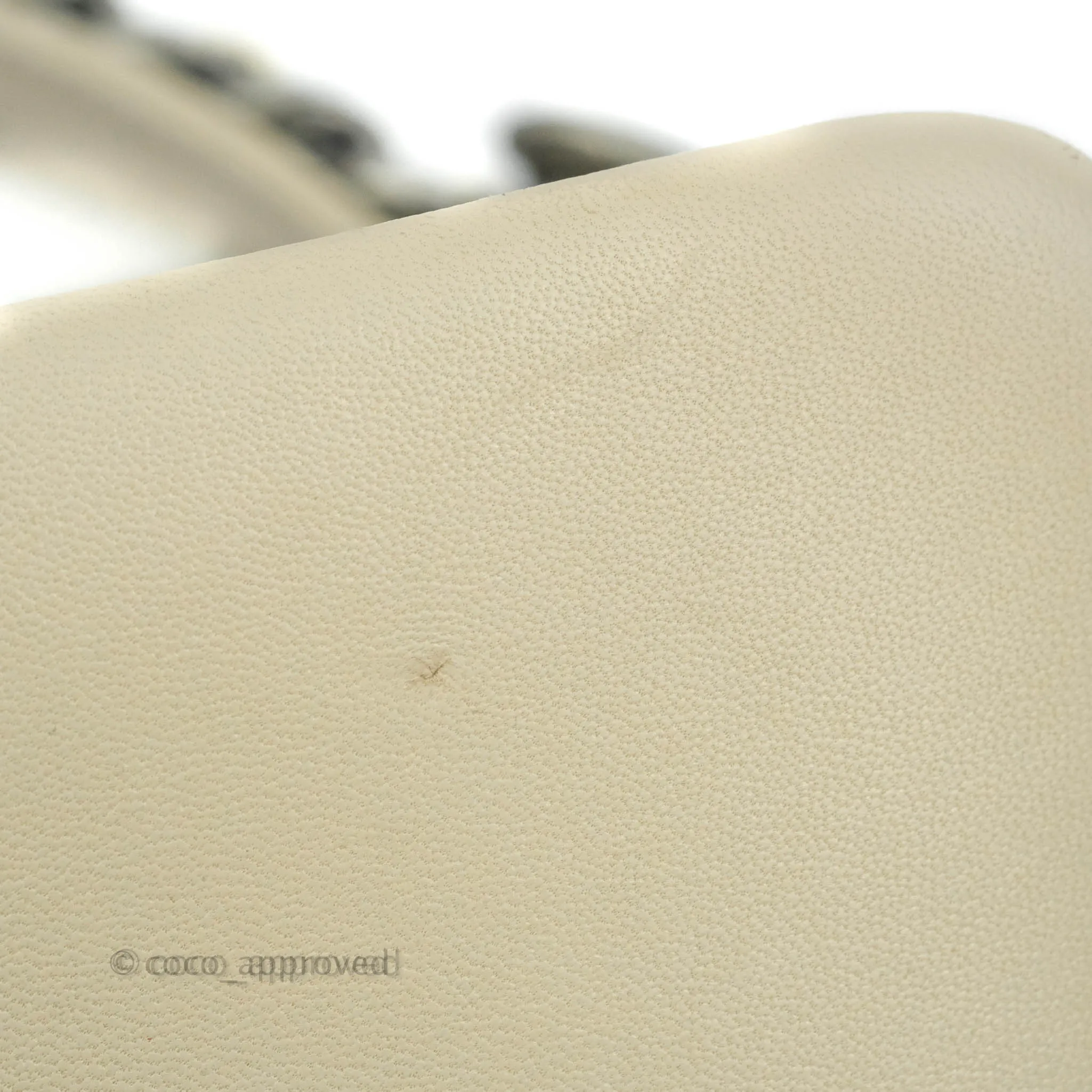 Chanel 19 Medium Beige Cream Goatskin Mixed Hardware