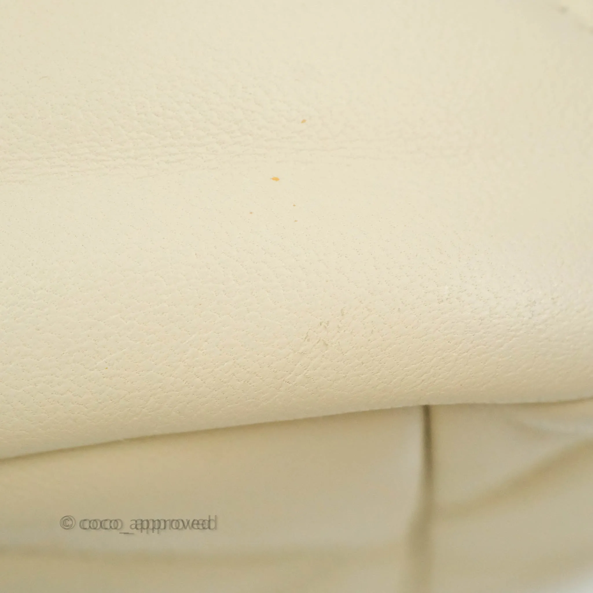 Chanel 19 Medium Beige Cream Goatskin Mixed Hardware