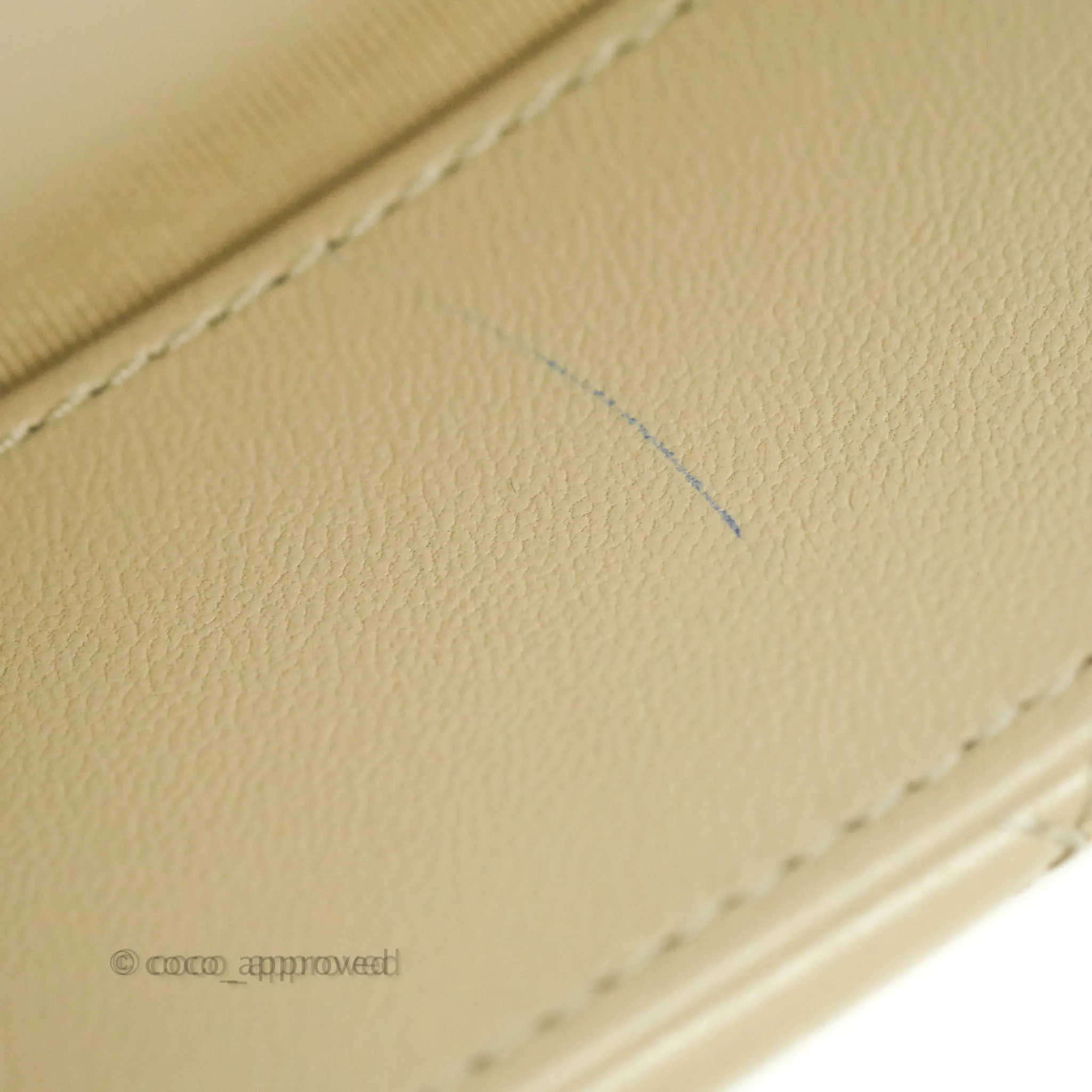 Chanel 19 Medium Beige Cream Goatskin Mixed Hardware