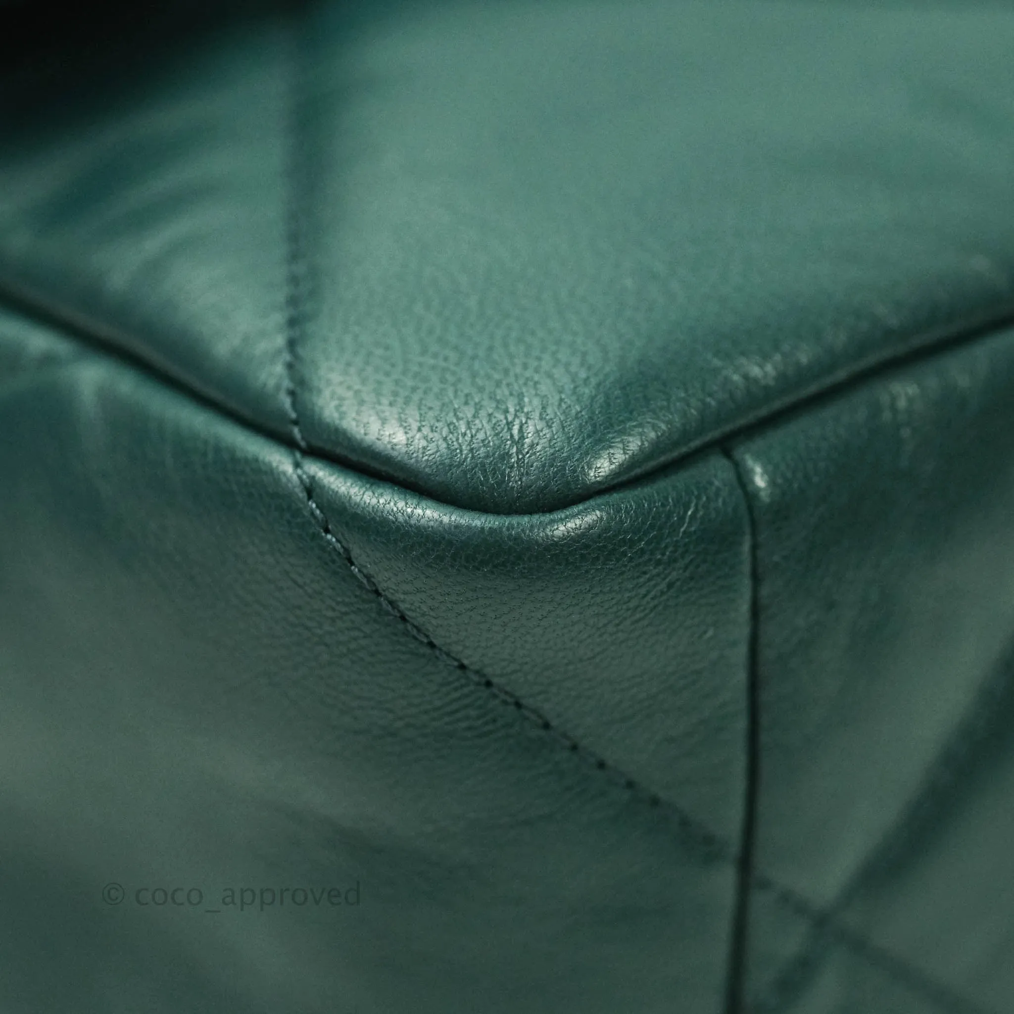 Chanel 19 Medium Dark Green Mixed Hardware Goatskin