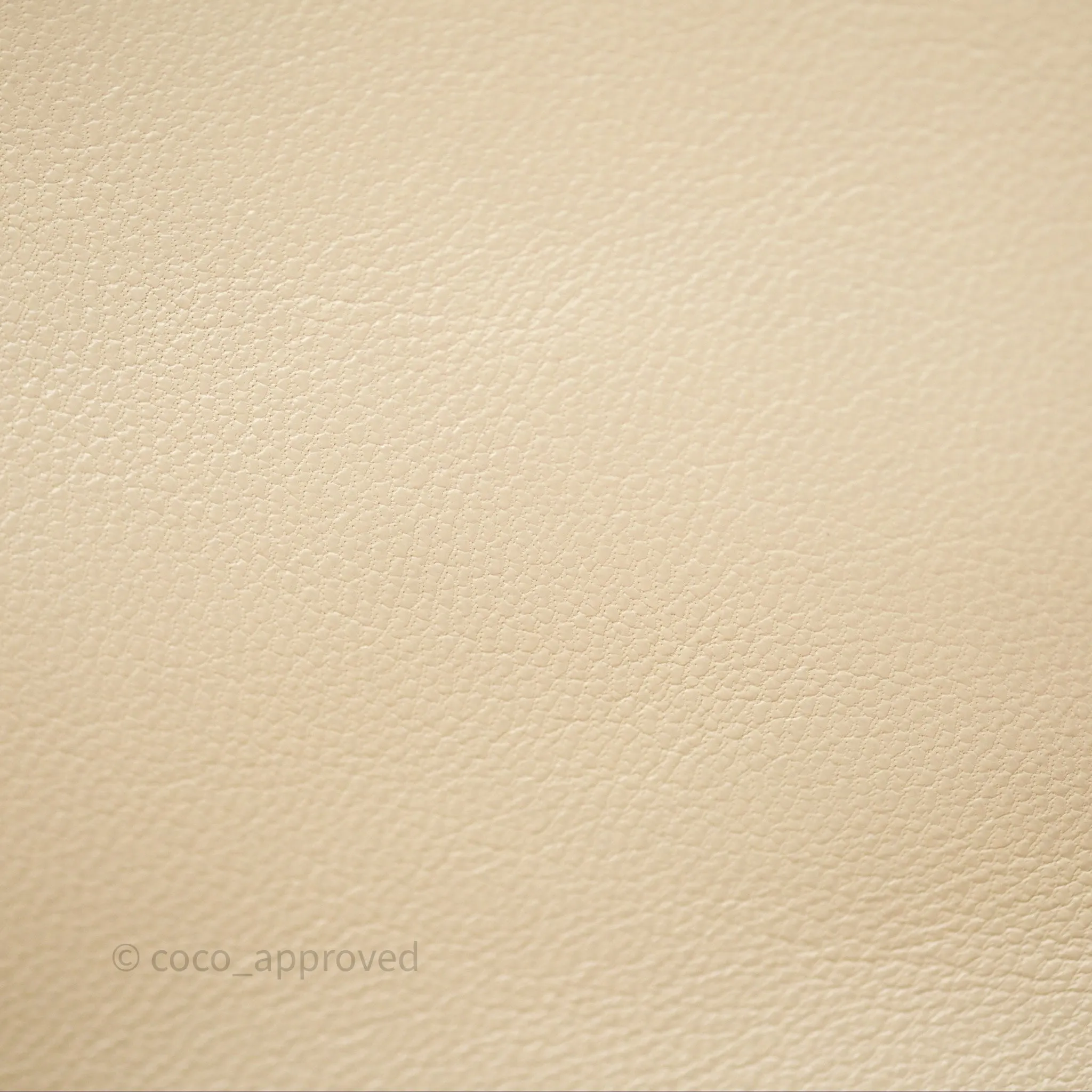 Chanel 19 Small Beige Mixed Hardware