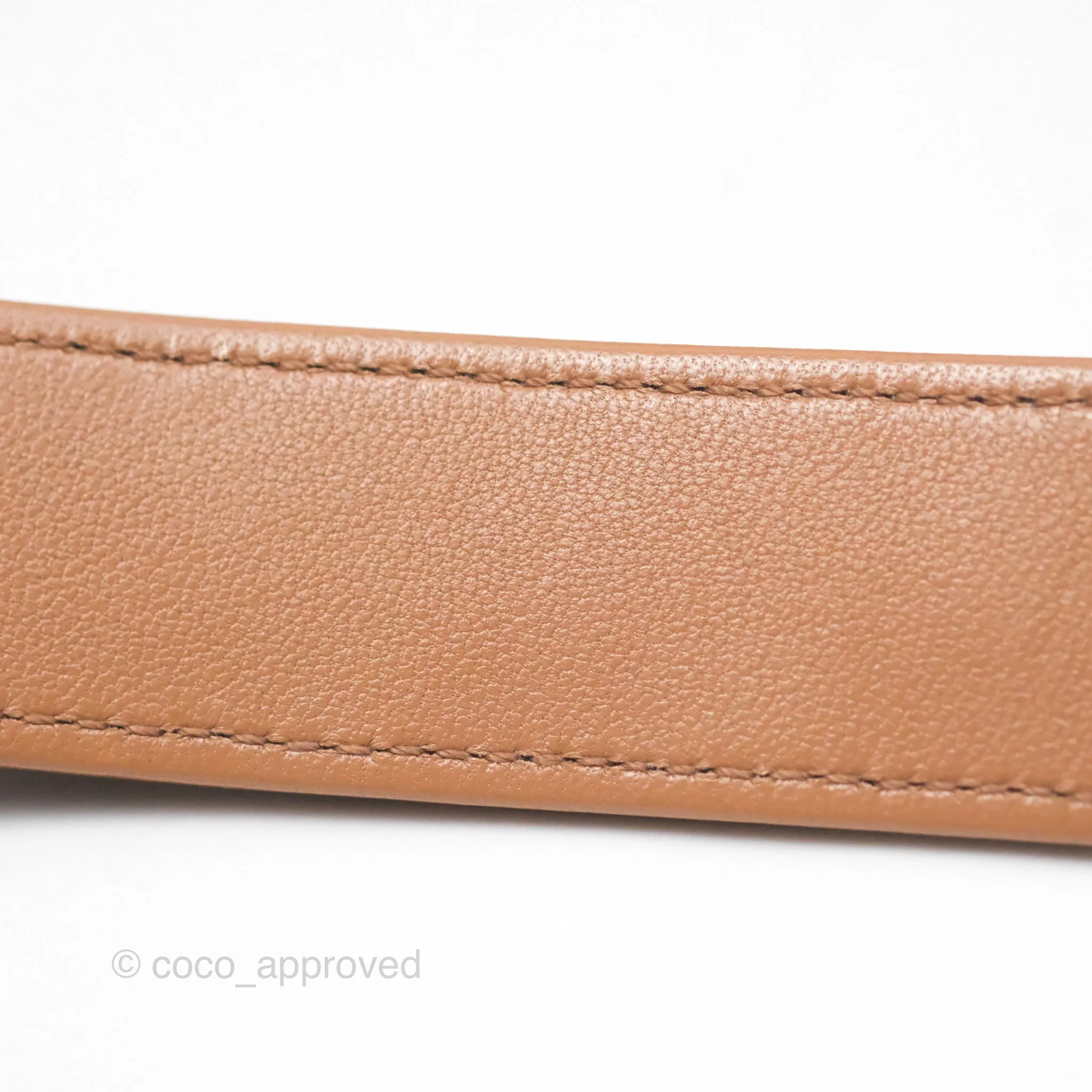 Chanel 19 Small Caramel Brown Mixed Hardware 21A