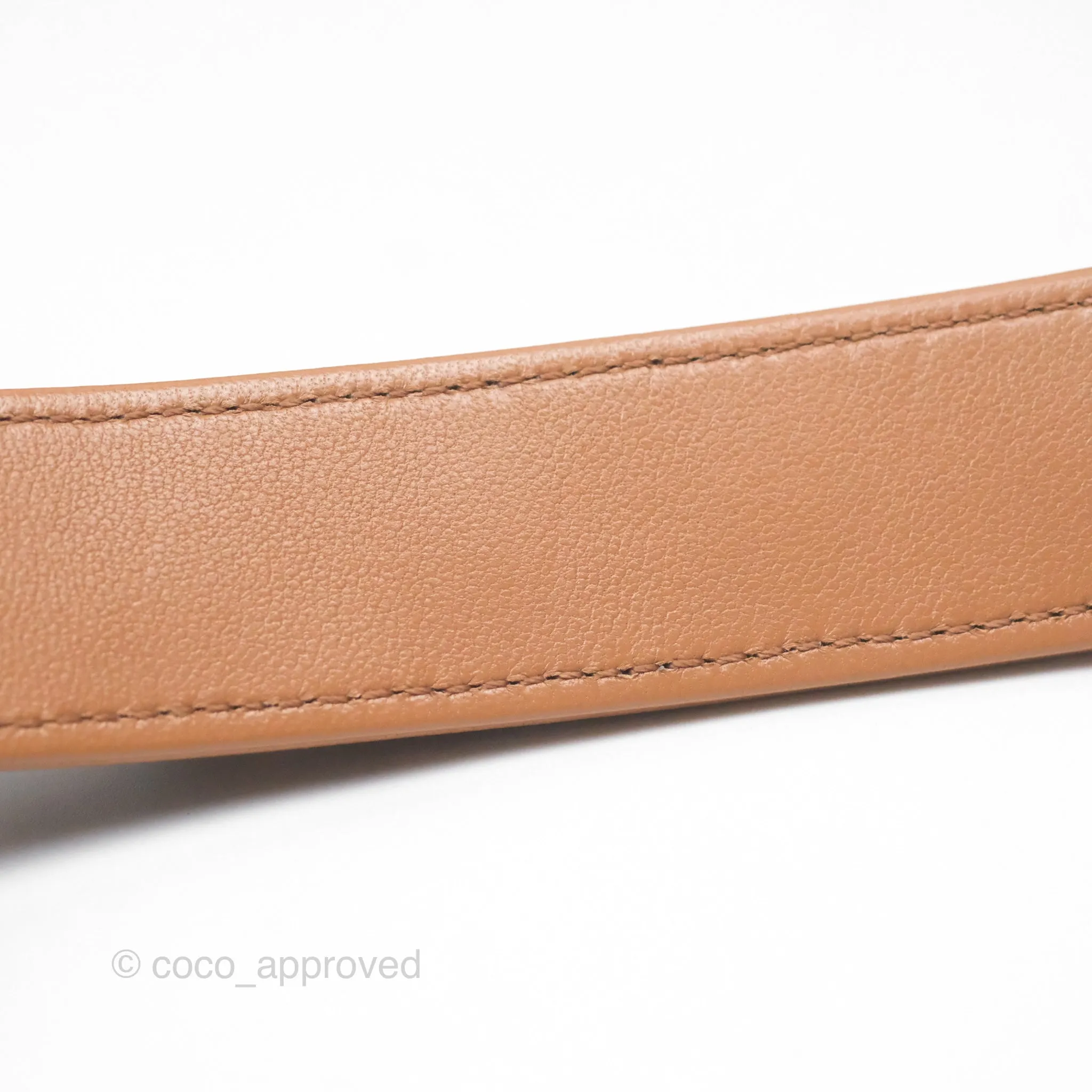 Chanel 19 Small Caramel Brown Mixed Hardware 21A