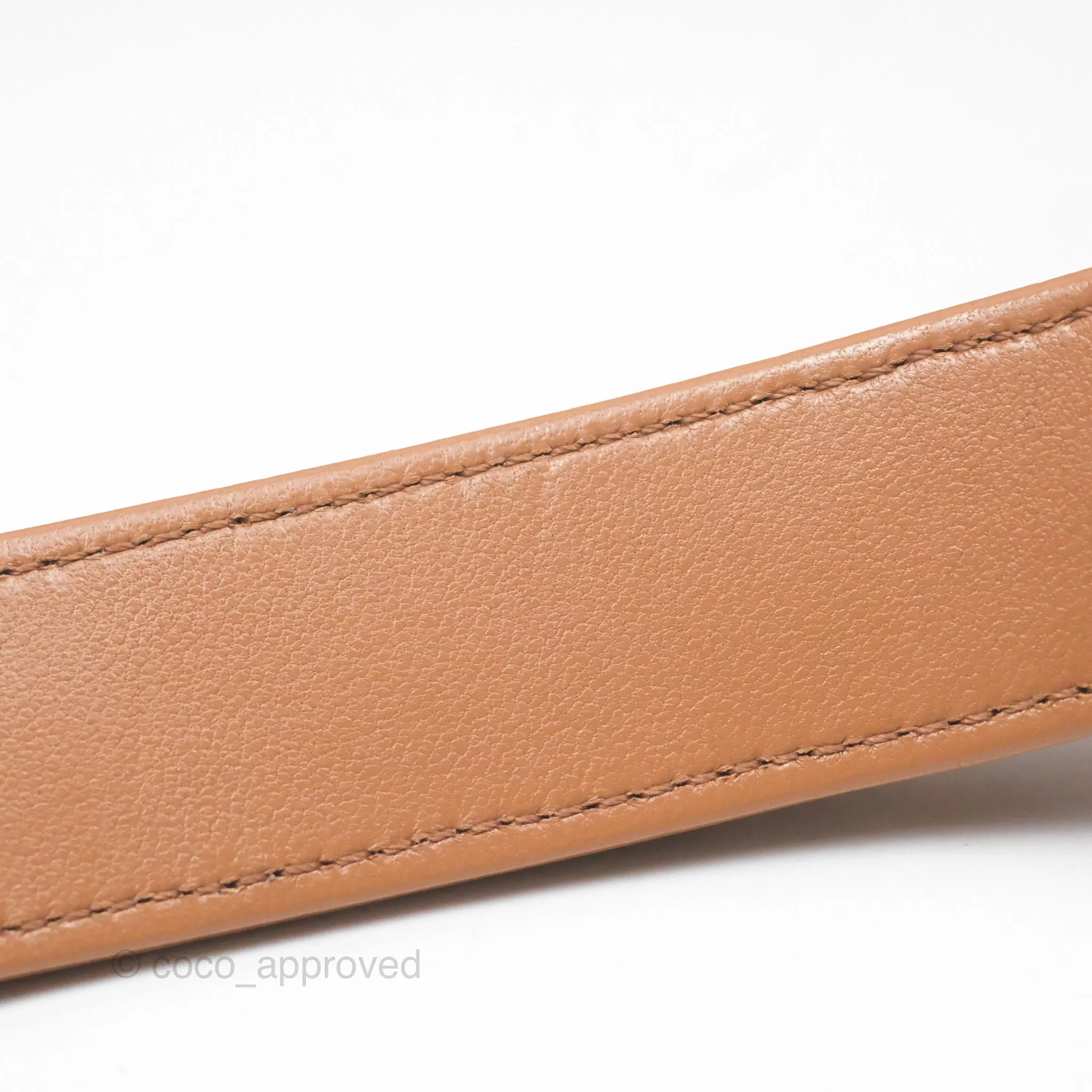 Chanel 19 Small Caramel Brown Mixed Hardware 21A