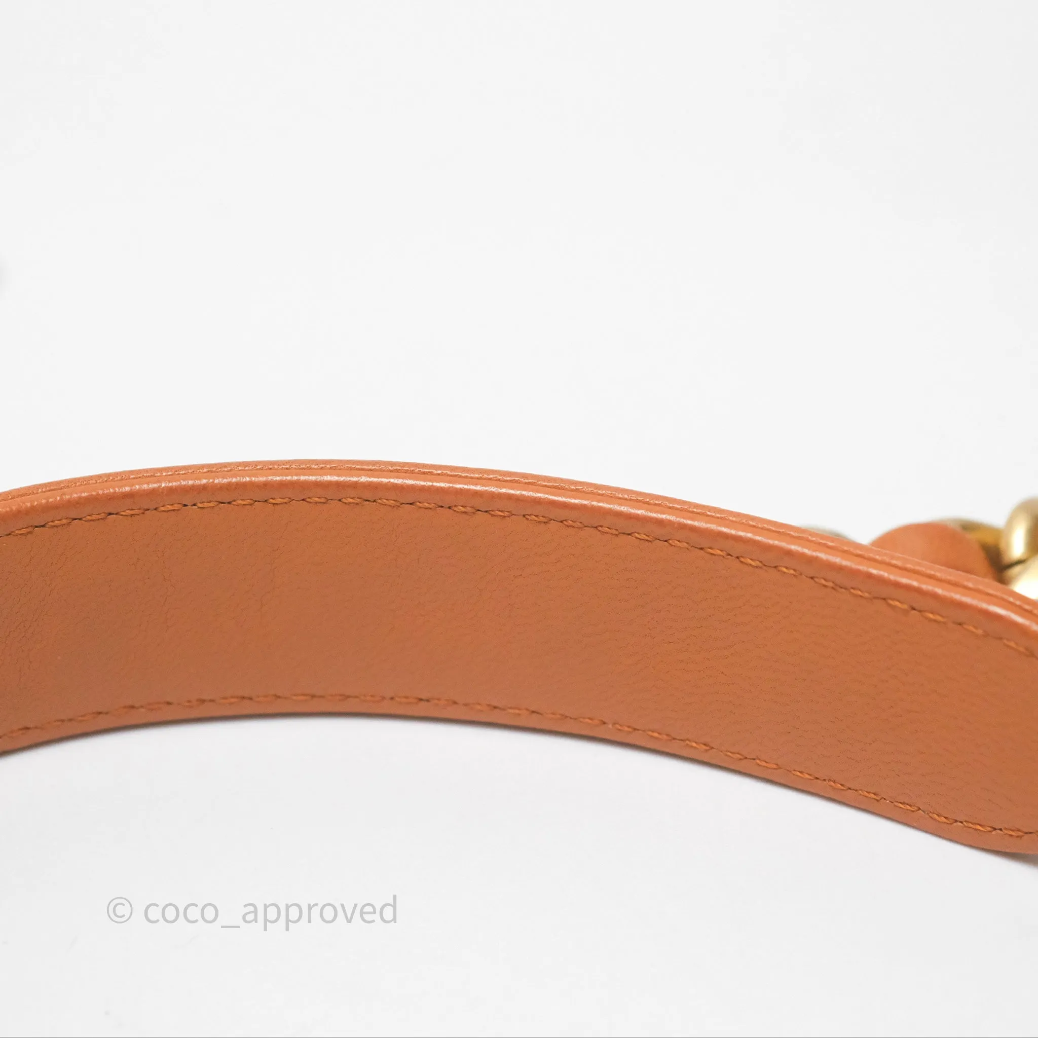 Chanel 19 Small Caramel Mixed Hardware